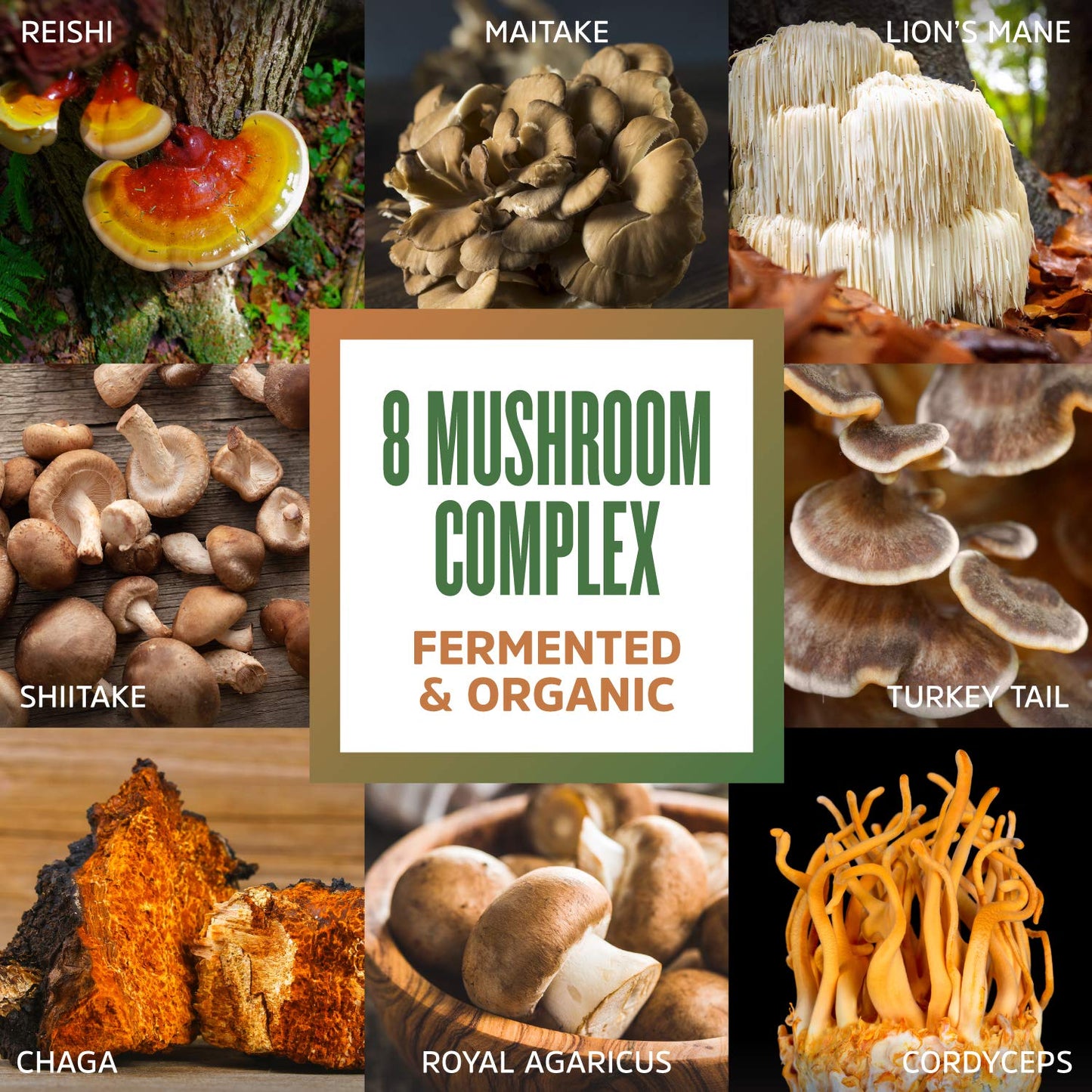 Pre-Order | Arrives in 5–10 Days – Zhou Nutrition 8-Plex Organic Mushroom Powder, Support Cognitive and Immune Health, Increase Energy, Endurance & Overall Wellness, Lions Mane, Reishi & Turkey Tail, 30 Servings - 2.14 Oz