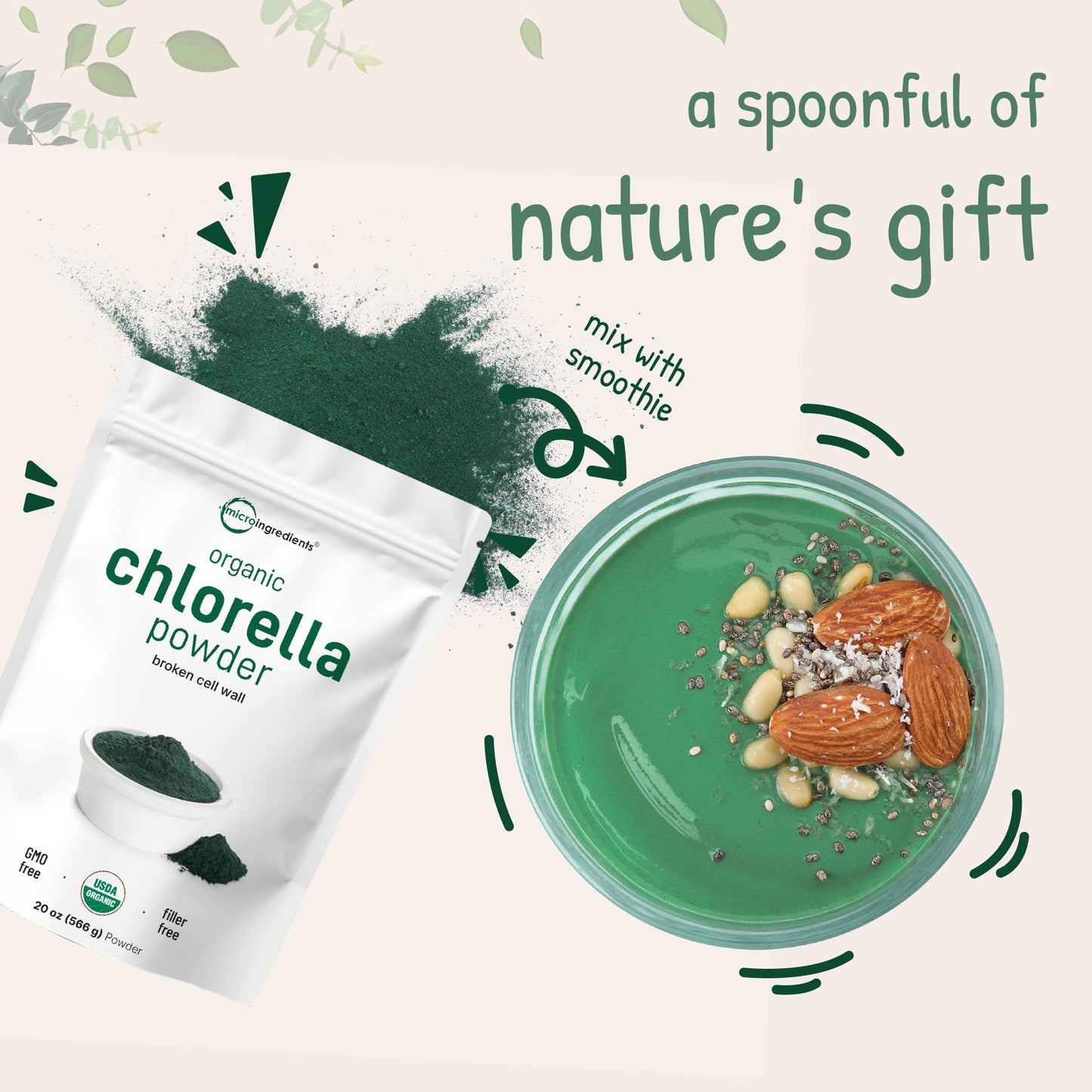 Pre-Order | Arrives in 5–10 Days – Micro Ingredients Organic Chlorella Powder, 20 Ounces | Broken Cell Wall for Complete Absorption | Raw Superfood Supplement, Rich in Protein & Vitamins | Non-GMO, Vegan, Non-Irradiated