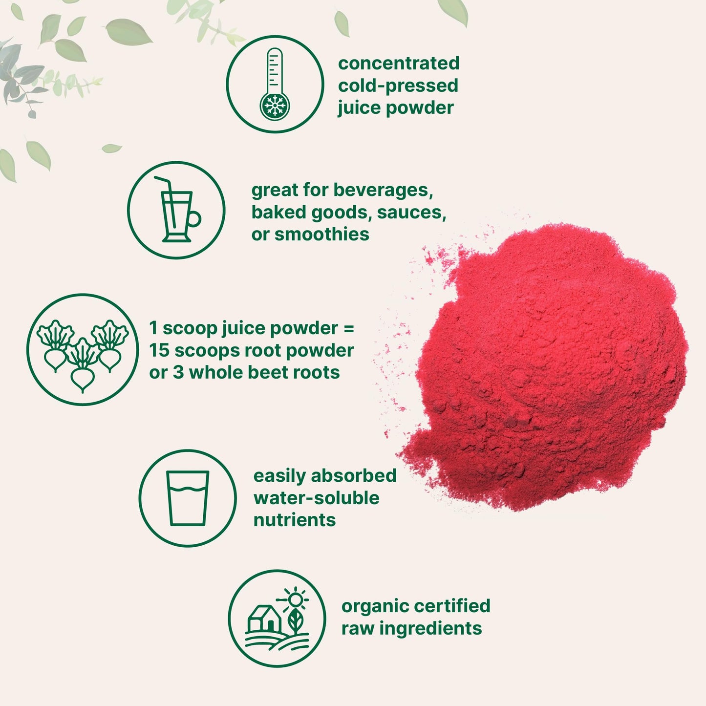 Pre-Order | Arrives in 5–10 Days – Micro Ingredients Organic Beet Root Powder, 1 Pound, Cold Pressed and Water Soluble, Beet Juice Pre-Workout Concentrated Powder, Energy & Immune System Support, Non-GMO
