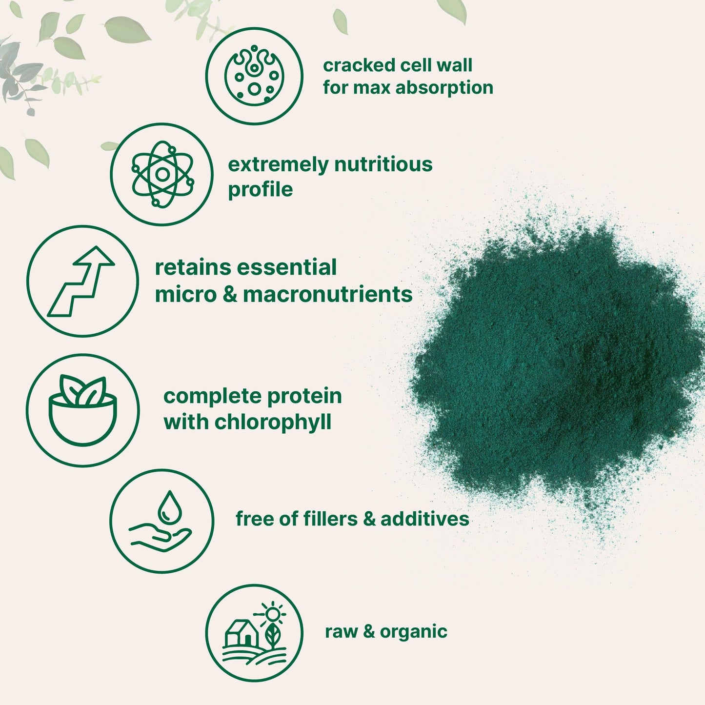 Pre-Order | Arrives in 5–10 Days – Micro Ingredients Organic Chlorella Powder, 20 Ounces | Broken Cell Wall for Complete Absorption | Raw Superfood Supplement, Rich in Protein & Vitamins | Non-GMO, Vegan, Non-Irradiated