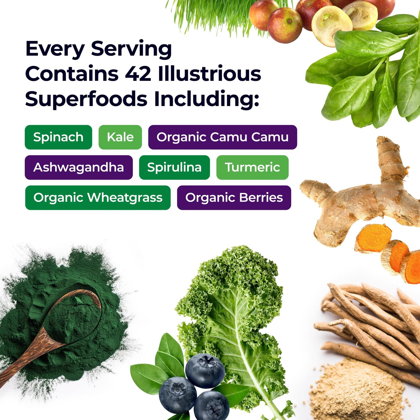 Pre-Order | Arrives in 5–10 Days – Paradise Herbs, ORAC Energy Greens Powder, Antioxidant Power of 24 Servings of Fruits & Vegetables in 1 Scoop, 120 Servings
