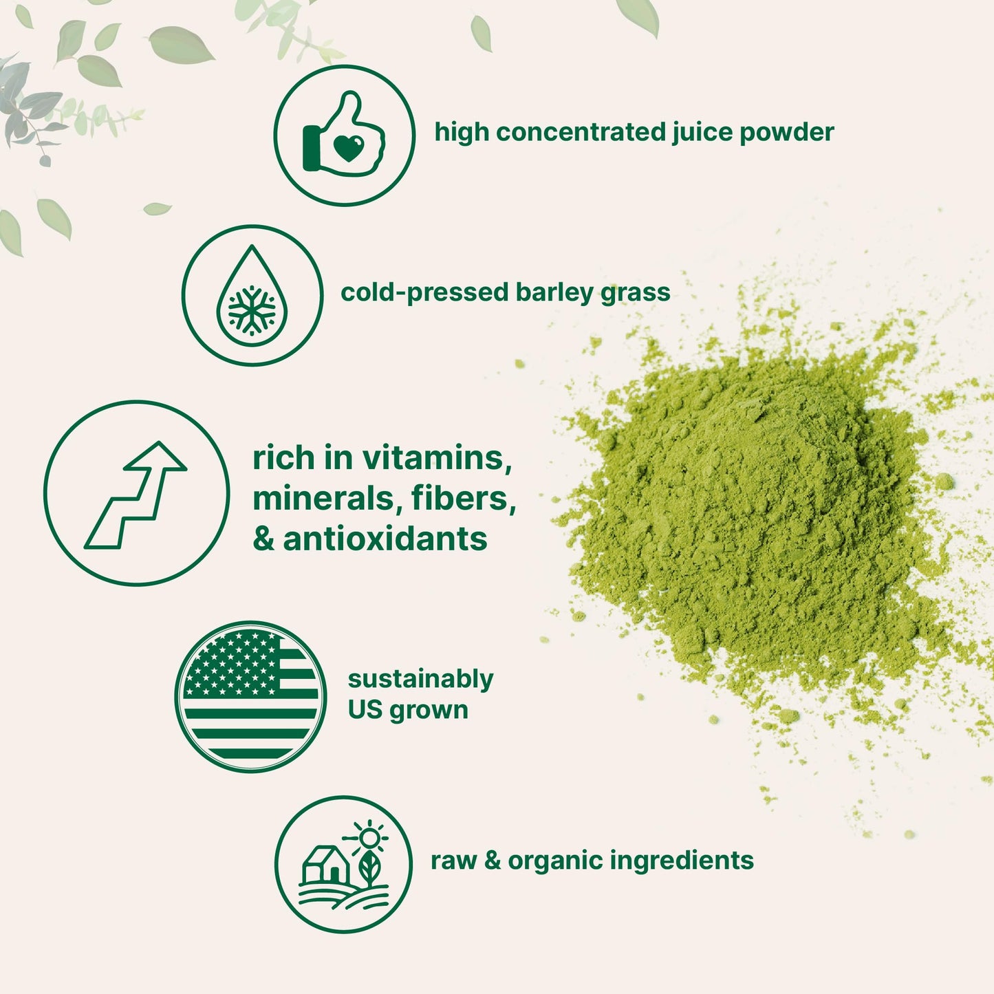 Pre-Order | Arrives in 5–10 Days – Micro Ingredients Organic Barley Grass Juice Powder, 10 Ounce, Cold Pressed, US Grown, Rich in Immune Vitamin, Fibers, Minerals, Antioxidants and Protein, Support Immune System and Digestion, Vegan