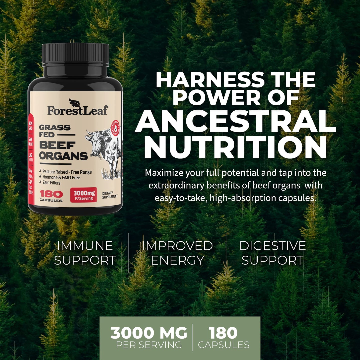 Pre-Order | Arrives in 5–10 Days – ForestLeaf Beef Organ Supplement - Grass Fed & Pasture Raised - Total Body Wellness & Performance, Organ Complex with 3000mg of Desiccated Beef Liver, Heart, Kidney, Pancreas, Spleen (180 Capsules)