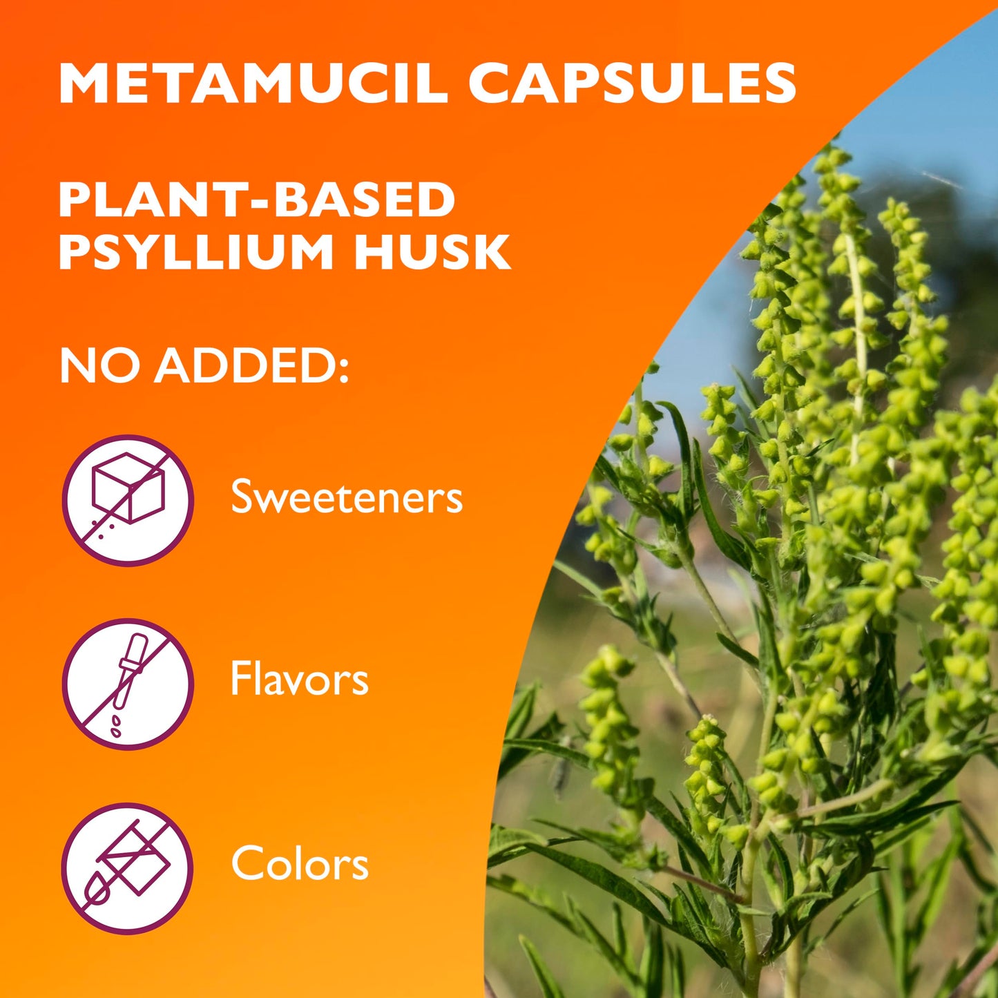 Pre-Order | Arrives in 5–10 Days – Metamucil, Daily Psyllium Husk Powder Supplement, 3-in-1 Fiber for Digestive Health, Plant Based Fiber, 300ct Capsules