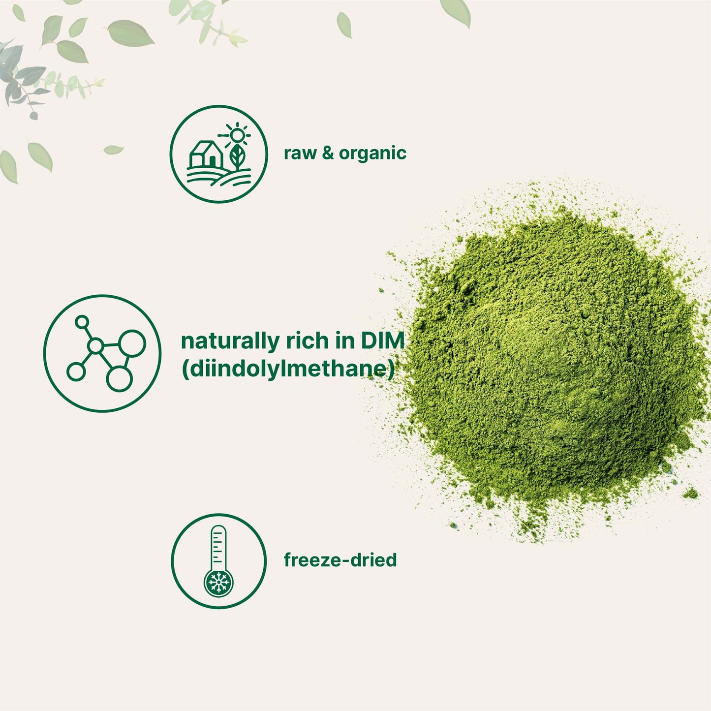 Pre-Order | Arrives in 5–10 Days – Organic Broccoli Powder, 1 Pound, Freeze Dried, Contains Natural DIM (Diindolylmethane), and Rich in Fiber and Immune Vitamin C, Green Superfood for Smoothie & Drinks, Vegan Friendly