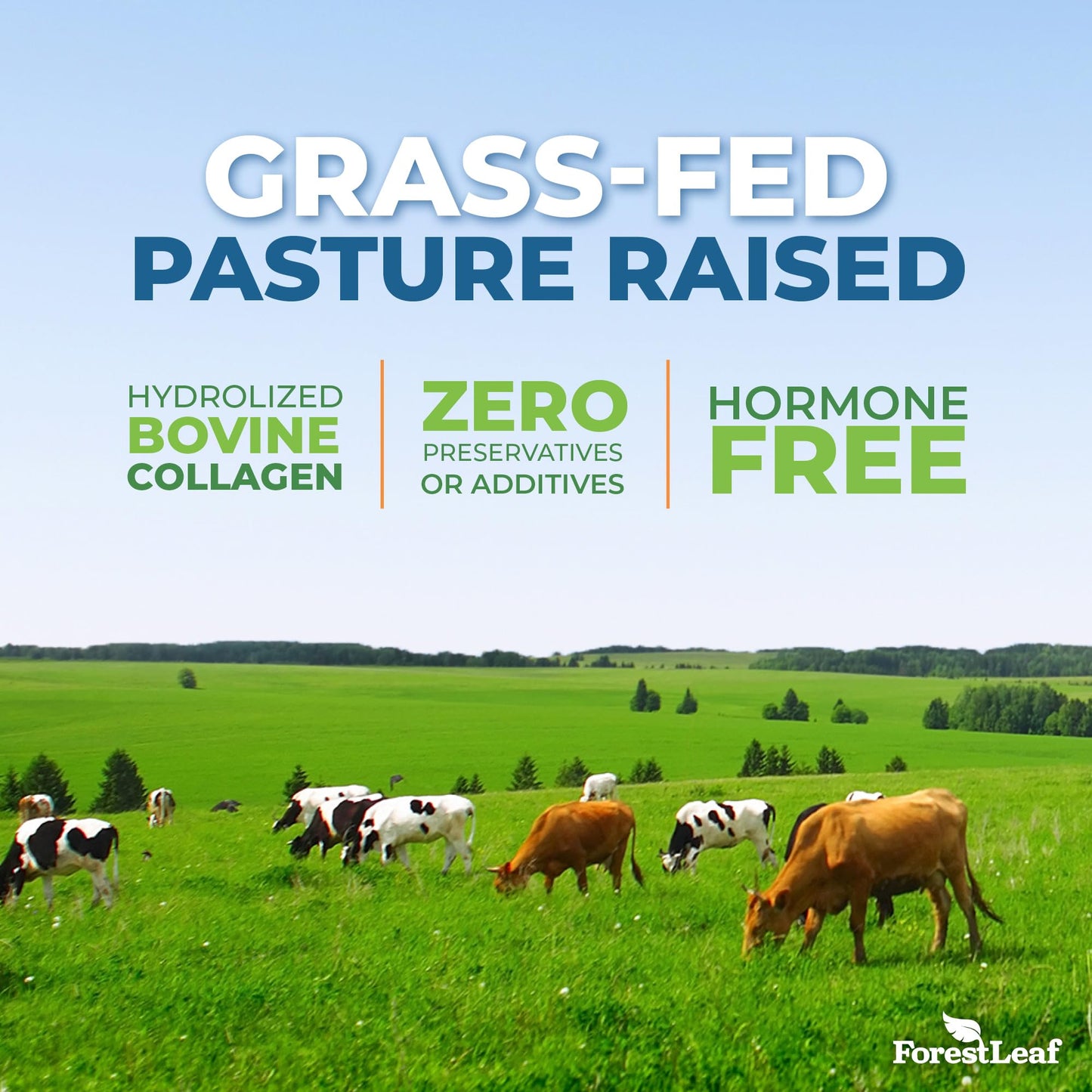 Pre-Order | Arrives in 5–10 Days – ForestLeaf Multi Collagen Pills with Hyaluronic Acid + Vitamin C | Hydrolyzed Collagen Supplements for Women or Men | Multi Collagen Capsules Peptides for Skin, Wrinkles, 240