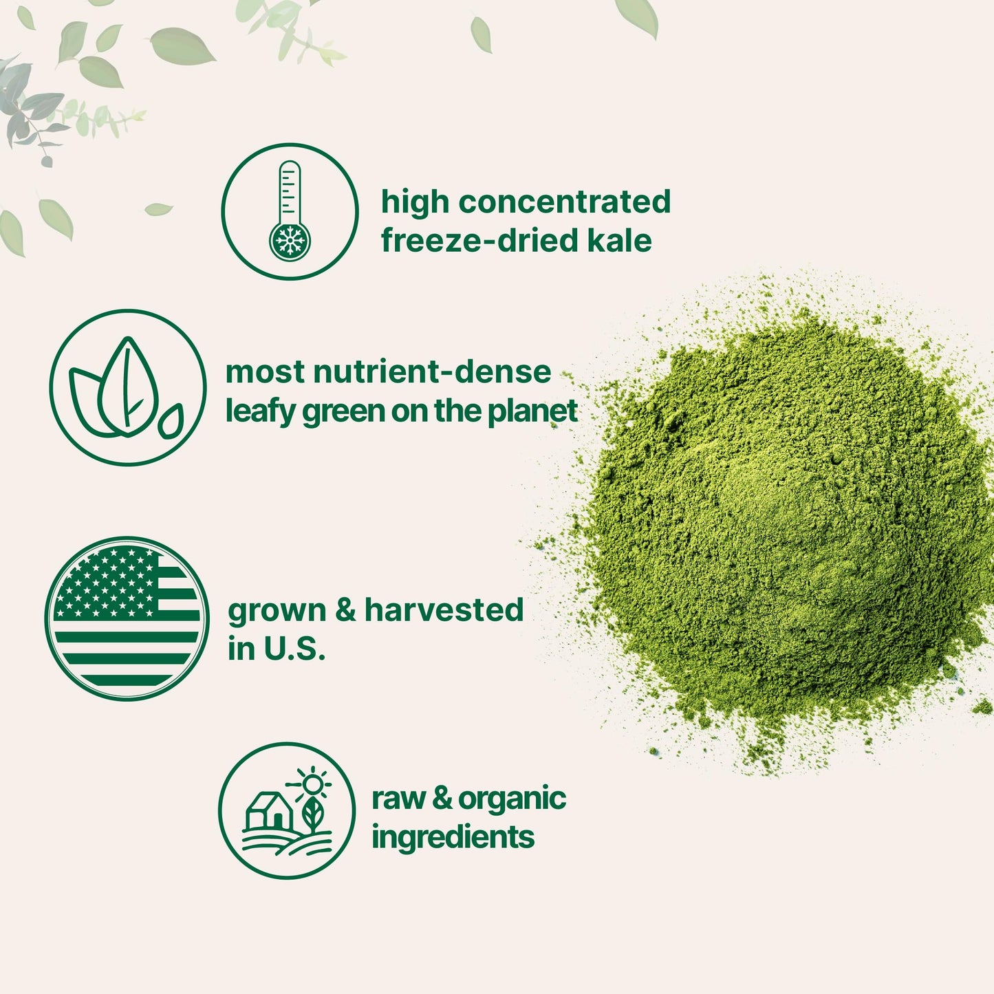 Pre-Order | Arrives in 5–10 Days – Sustainably US Grown, Organic Kale Powder, 2 Pounds | Fresh Freeze Dried Source | Nutrient-Dense Greens Superfood | Kale Tea and Green Drink Mix | 907 Servings, No GMOs, Vegan Friendly