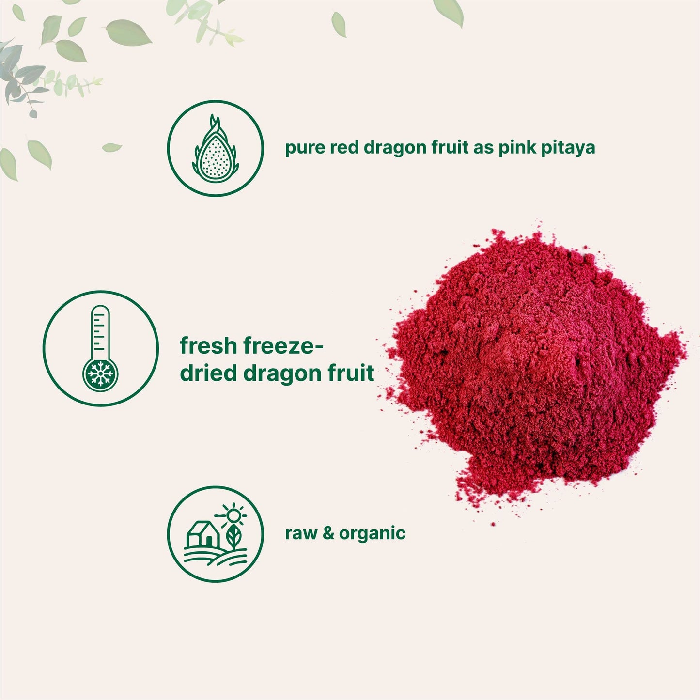 Pre-Order | Arrives in 5–10 Days – Organic Dragon Fruit Powder, 10oz | 100% Natural Fruit Powder | Freeze-Dried Pink Pitaya Source | No Sugar & Additives | Great Flavor for Drinks, Smoothie, & Beverages | Non-GMO & Vegan Friendly