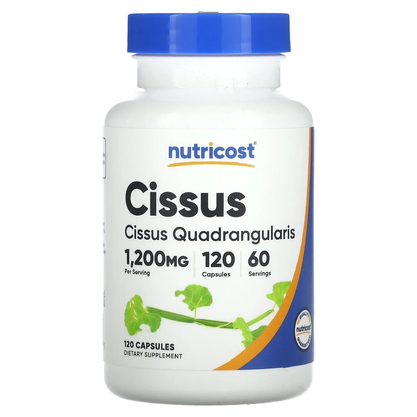 Pre-Order | Arrives in 5–10 Days – Nutricost
Cissus, 1,200 mg , 120 Capsules (600 mg per Capsule)