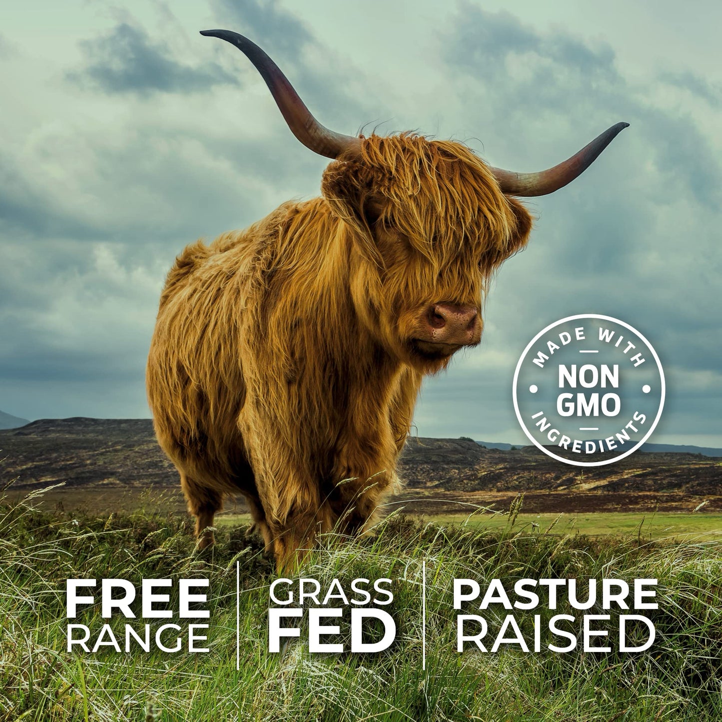 Pre-Order | Arrives in 5–10 Days – ForestLeaf Beef Organ Supplement - Grass Fed & Pasture Raised - Total Body Wellness & Performance, Organ Complex with 3000mg of Desiccated Beef Liver, Heart, Kidney, Pancreas, Spleen (180 Capsules)