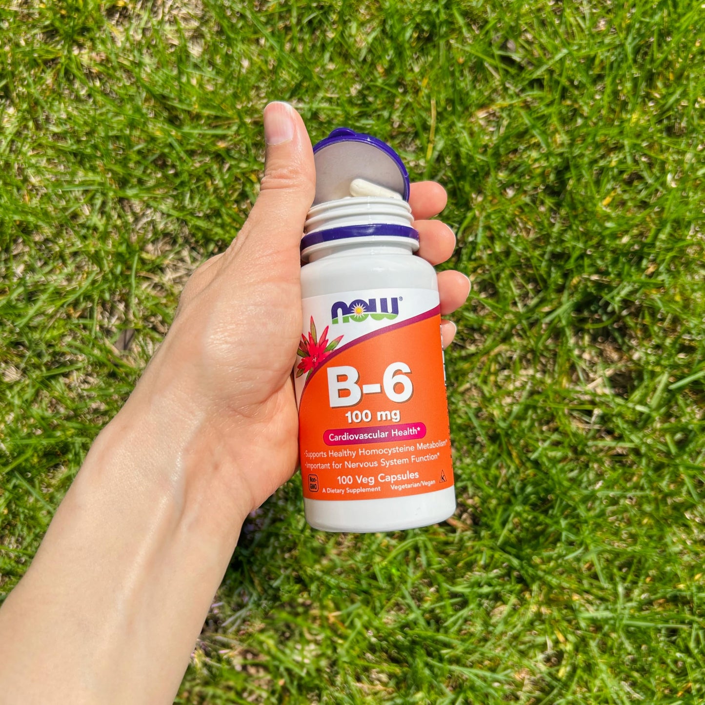 Pre-Order | Arrives in 5–10 Days – NOW Foods Supplements, Vitamin B-6 (Pyridoxine HCl) 100 mg, Cardiovascular Health*, 100 Veg Capsules