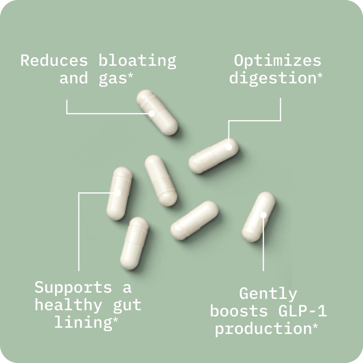 Pre-Order | Arrives in 5–10 Days – BodyBio Calcium Magnesium Butyrate - Postbiotic for Gut Health, Leaky Gut Repair, Digestive Support, Bloating Relief, & Microbiome Balance - Butyric Acid Supplement for GI Wellness