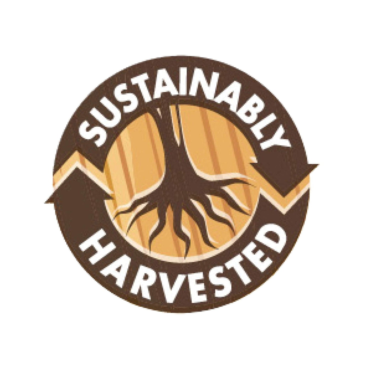 Pre-Order | Arrives in 5–10 Days – Bluebonnet Nutrition BrainPower – Whole Food-Based Nootropic Blend - for Brain Health*- Non-GMO, Vegan - Free of Gluten, Dairy, Soy & Stimulants - 60 Vegetable Capsules, 30 Servings