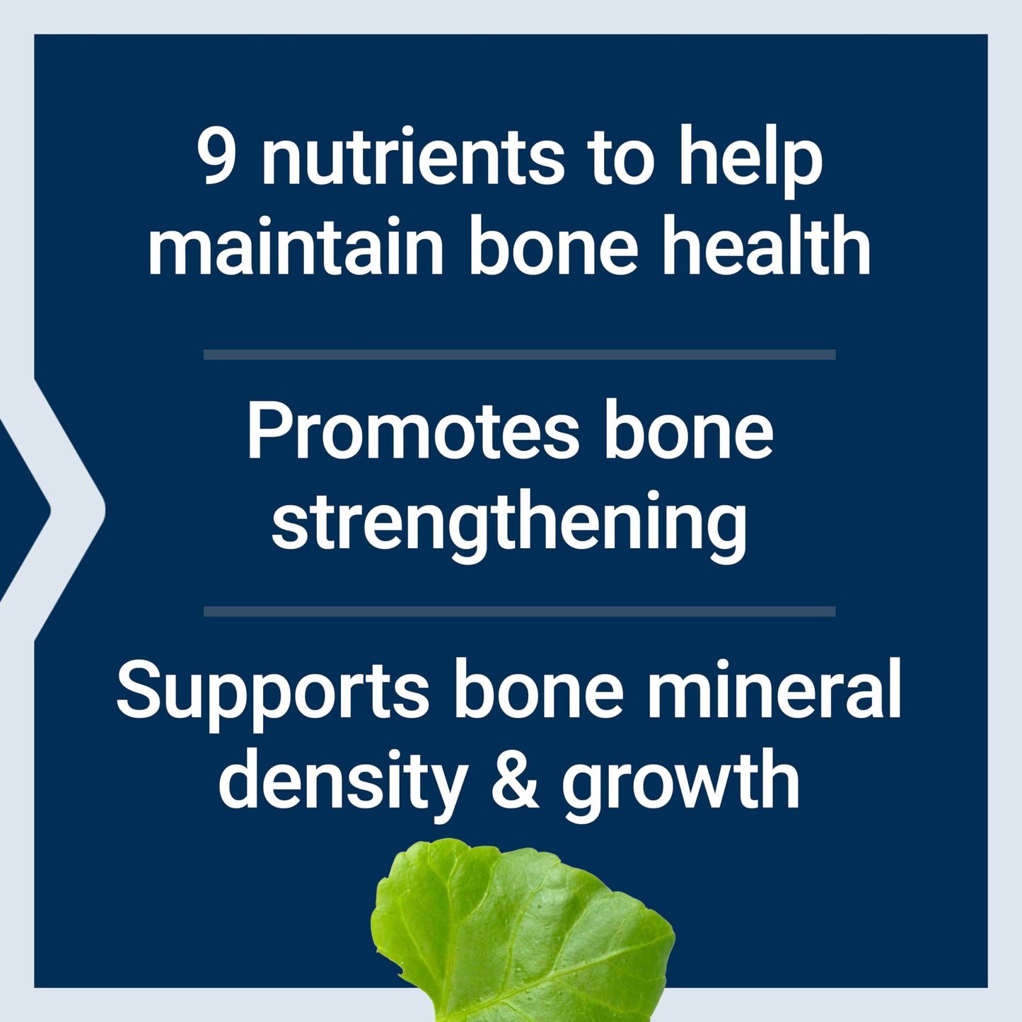 Pre-Order | Arrives in 5–10 Days – Life Extension Dr. Strum's Intensive Bone Formula, Cissus quadrangularis, Calcium, Vitamin D3, K2, Magnesium, zinc, Potassium, Boron, Bone Health Support Formula, Gluten Free, Non-GMO, 300 Capsules