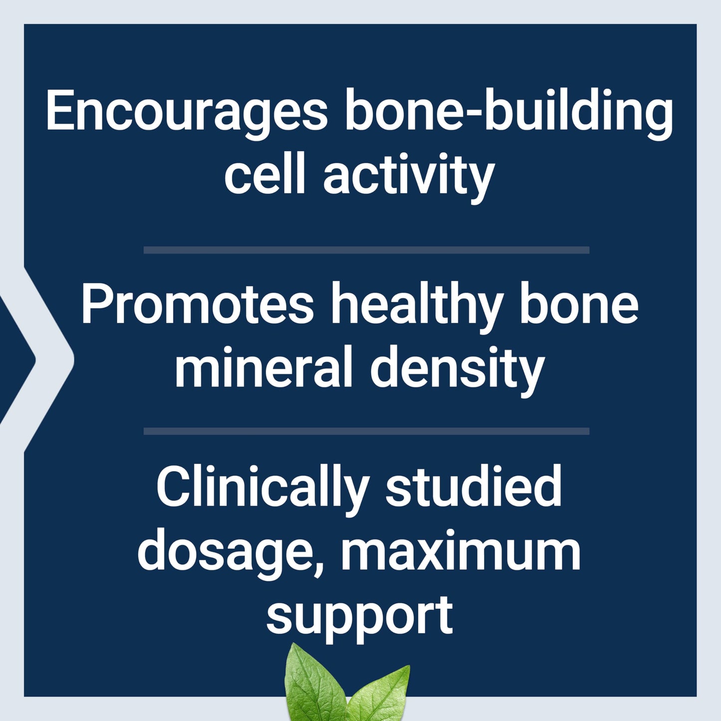 Pre-Order | Arrives in 5–10 Days – Life Extension Mega Vitamin K2 High Potency for Strong Bones, clinically Studied 45 mg K2 Dosage, Promotes Healthy Bone Density, Gluten-Free, Non-GMO, 30 Capsules