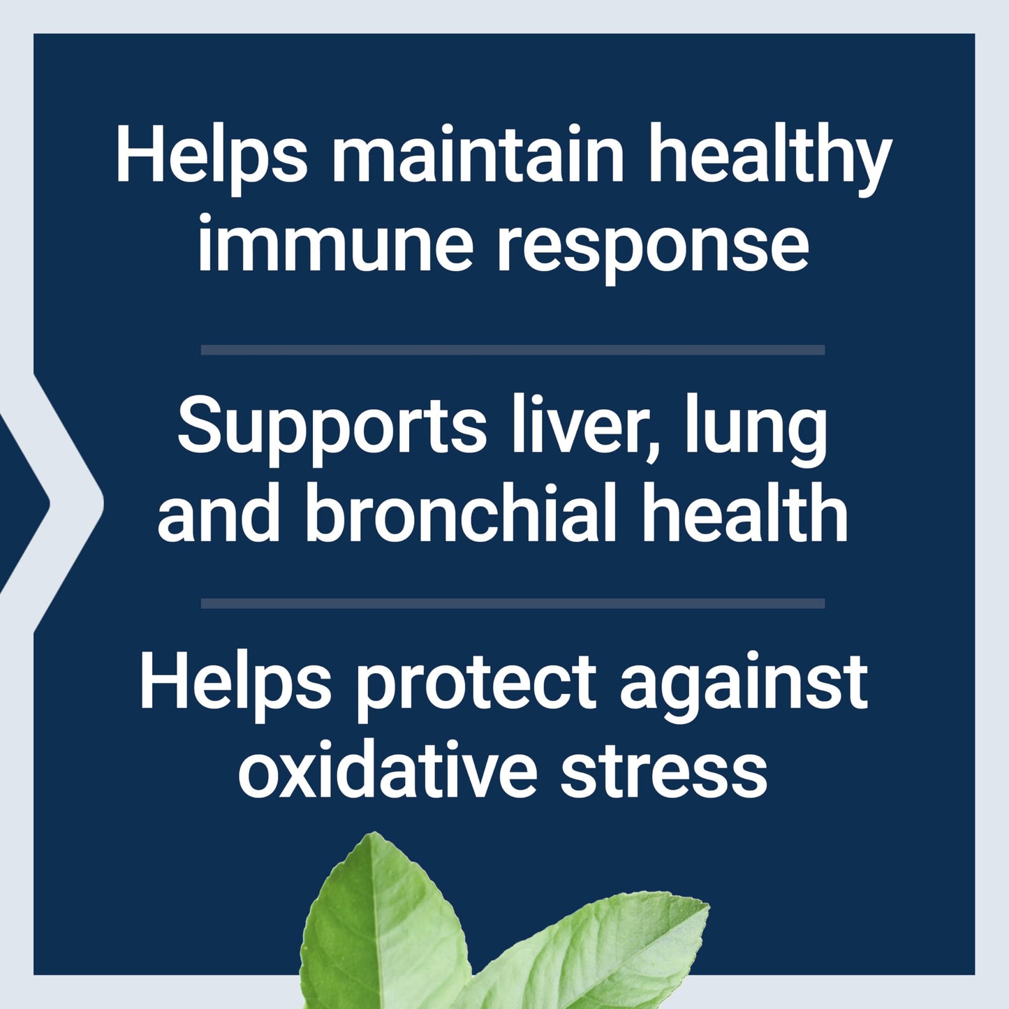 Pre-Order | Arrives in 5–10 Days – Life Extension N-Acetyl-L-Cysteine (NAC), Immune Response, Respiratory Health, Liver Health, NAC 600 mg, antioxidant Defense, Free radicals, Easy to Absorb, 60 Capsules