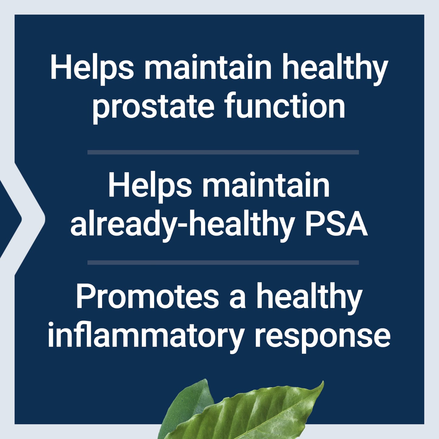 Pre-Order | Arrives in 5–10 Days – Life Extension Ultra Prostate Formula, saw palmetto for men, pygeum, stinging nettle root, lycopene, 11 nutrients for prostate function, non-GMO, gluten-free, 60 softgels