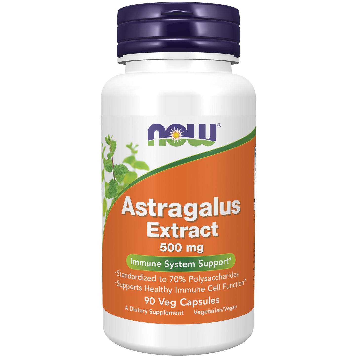 Pre-Order | Arrives in 5–10 Days – NOW Foods Immune Support Supplements, Astragalus Extract 500 mg (Standardized to 70% Polysaccharides), 90 Veg Capsules