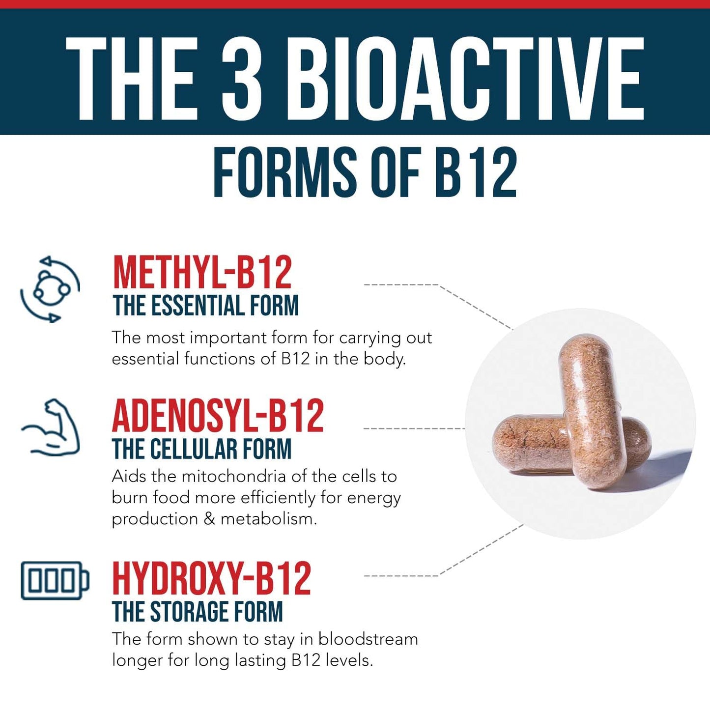 Pre-Order | Arrives in 5–10 Days – 
BioActive Vitamin B12 1000 mcg | All 3 BioActive Forms B12 Plus Methylfolate Cofactor - Methyl B12, Adenosyl B12 & Hydroxy B12 | Supports Energy, B12 Levels & Mood | Vegan, Non-GMO (60 Servings)