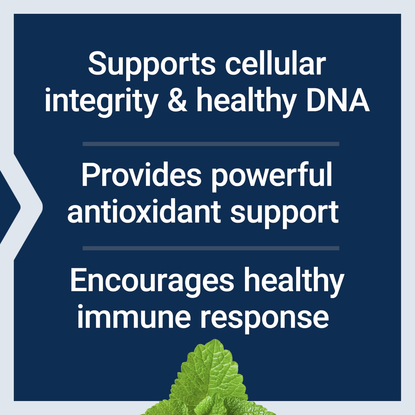 Pre-Order | Arrives in 5–10 Days – Life Extension X-R Shield, spirulina, Lemon Balm, Ginkgo biloba, Supports Cellular Integrity & DNA Health, Encourages Healthy Immune Response, Gluten-Free, Non-GMO, Vegetarian, 90 Capsules