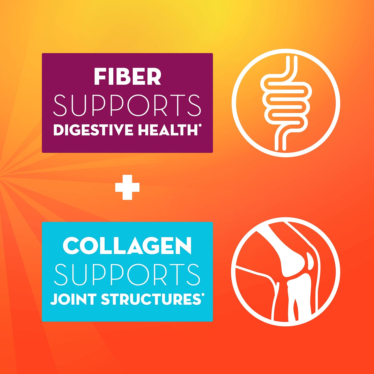 Pre-Order | Arrives in 5–10 Days – Metamucil Daily Fiber + Collagen, Psyllium Husk Powder, Plant Based, Sugar-Free with Stevia, 3-in-1 Fiber for Digestive Health, Orange Flavored, 90 Doses (29.8 OZ Fiber Powder)