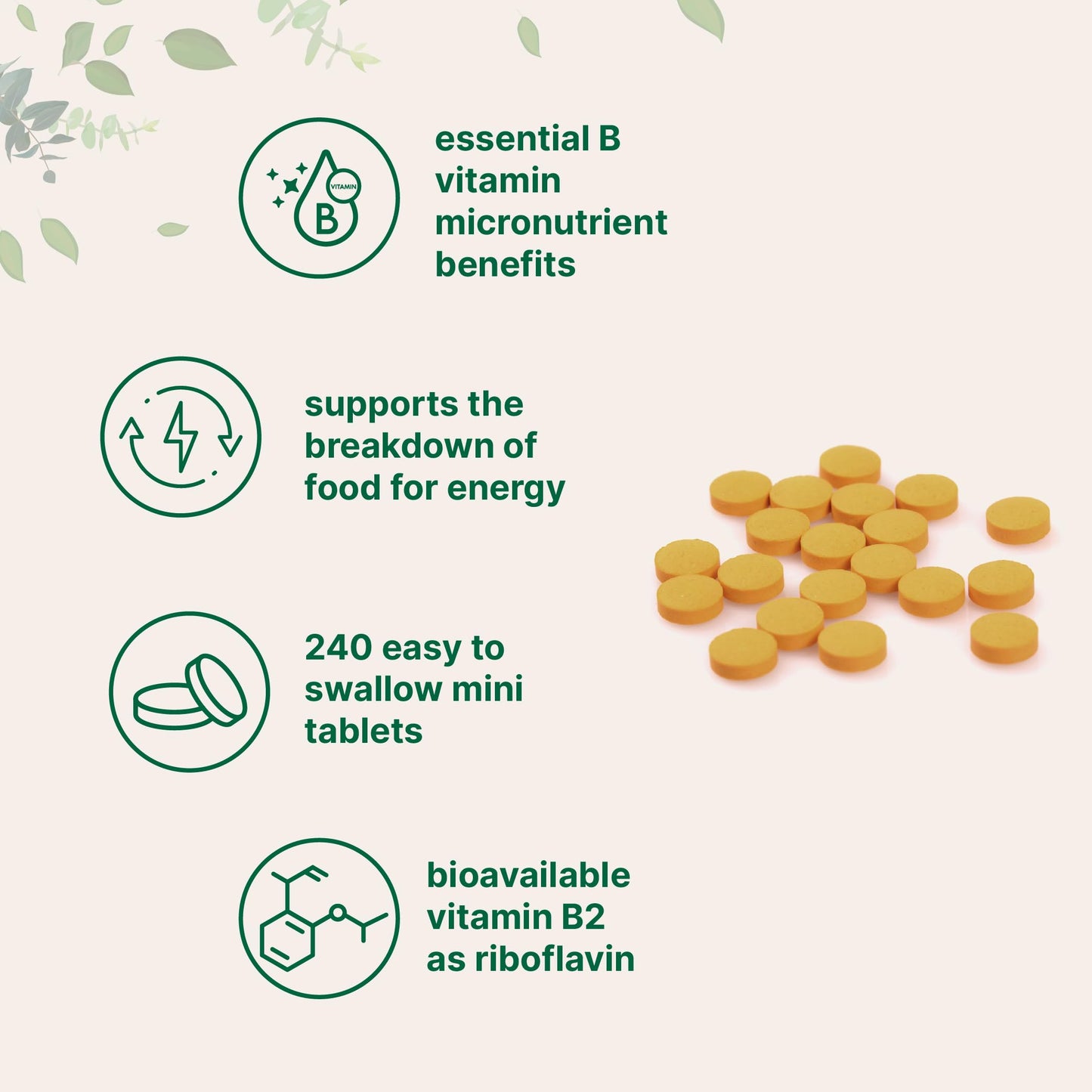 Pre-Order | Arrives in 5–10 Days – Micro Ingredients Riboflavin Vitamin B2, 400mg Per Serving, 240 Mini Tablets | Essential Vitamin B Supplement | B Vitamins for Energy Production | Easy to Swallow, Non-GMO