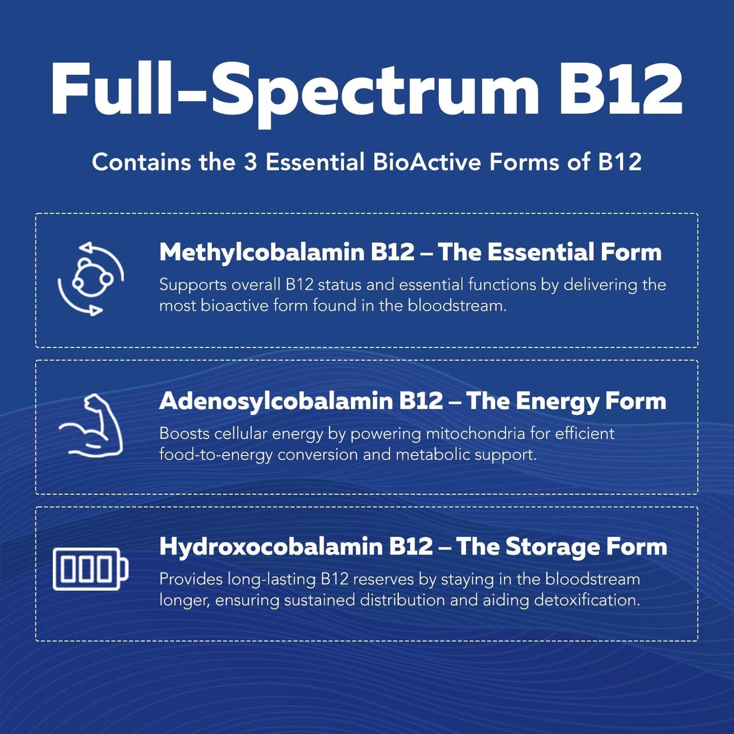Pre-Order | Arrives in 5–10 Days – 
BioActive Vitamin B Complex - Blood Stream Ready, Methylated B Complex - Featuring Methylfolate, 3 BioActive Forms of B12, BenfoPure® B1 & Pantesin® B5 - 12 B Vitamins in Clinical Doses - 60 Servings