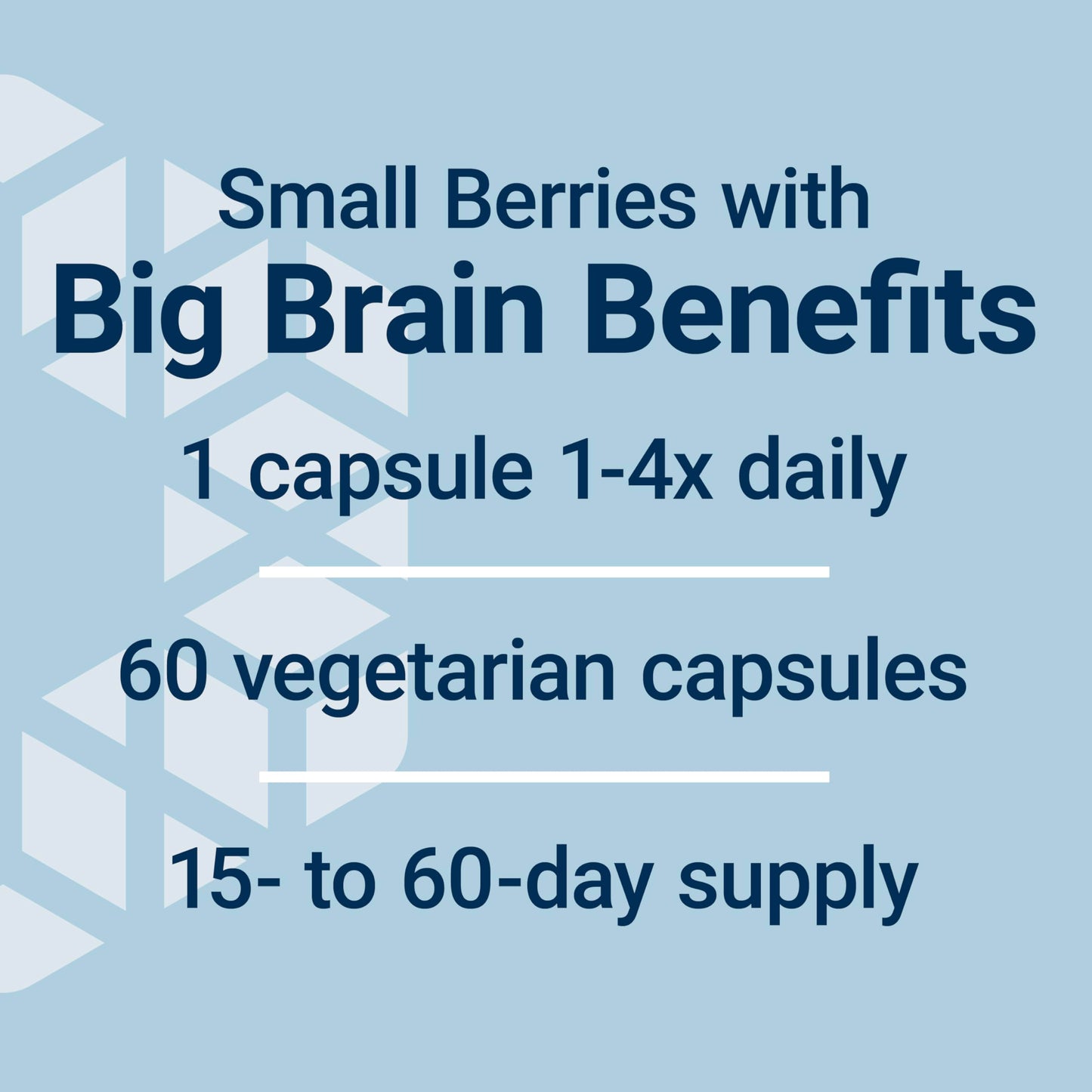 Pre-Order | Arrives in 5–10 Days – Life Extension Blueberry Extract Capsules - Whole Fruit Wild Blueberry Extract Supplement Pills- For Brain Health Support - Non-GMO, Gluten-Free ,Vegetarian - 60 Capsules