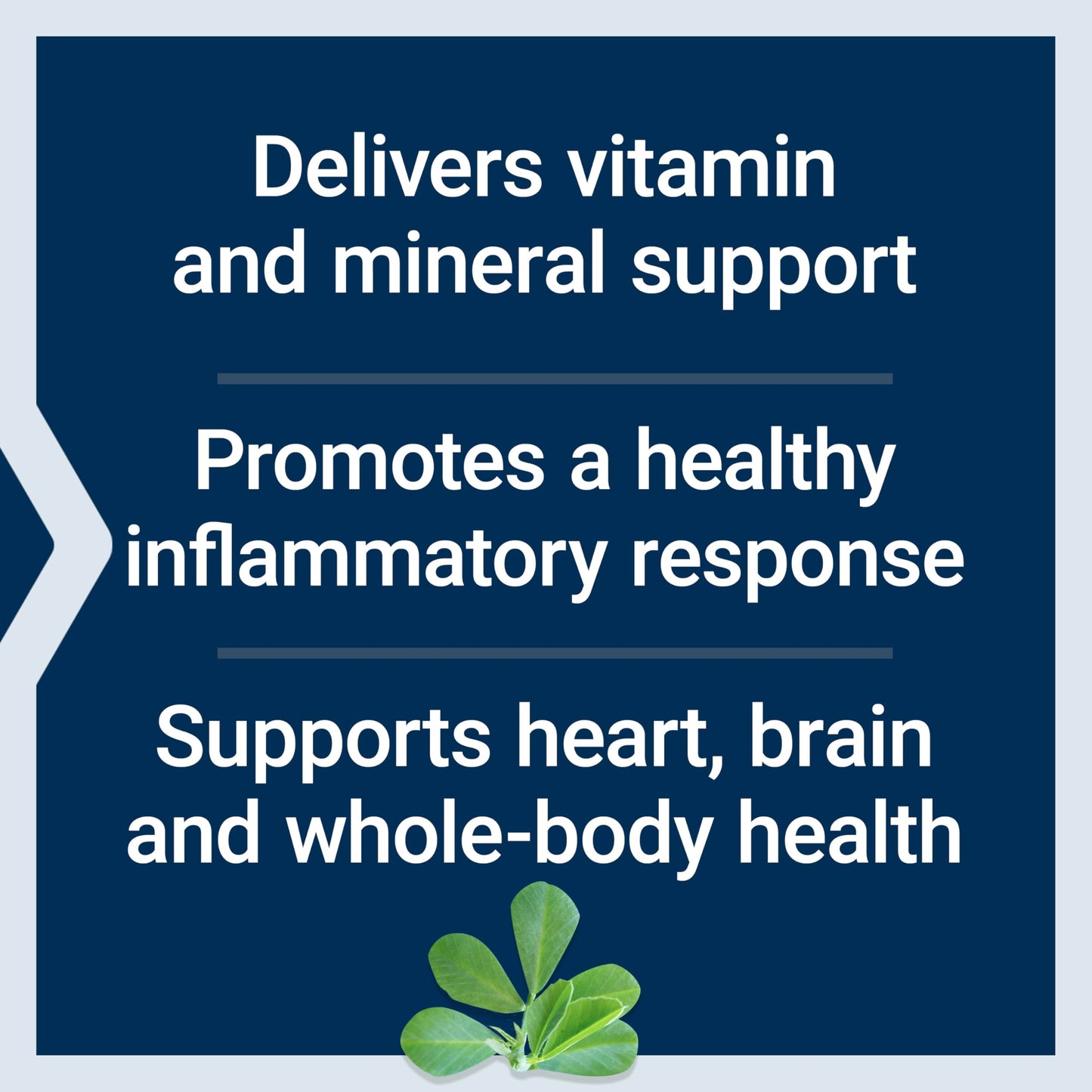 Pre-Order | Arrives in 5–10 Days – Life Extension Comprehensive Nutrient Packs Advanced, Curcumin, Fish Oil, multivitamin, CoQ10, multis and Supplements, 30 on-The-go Packets, Gluten-Free, Non-GMO