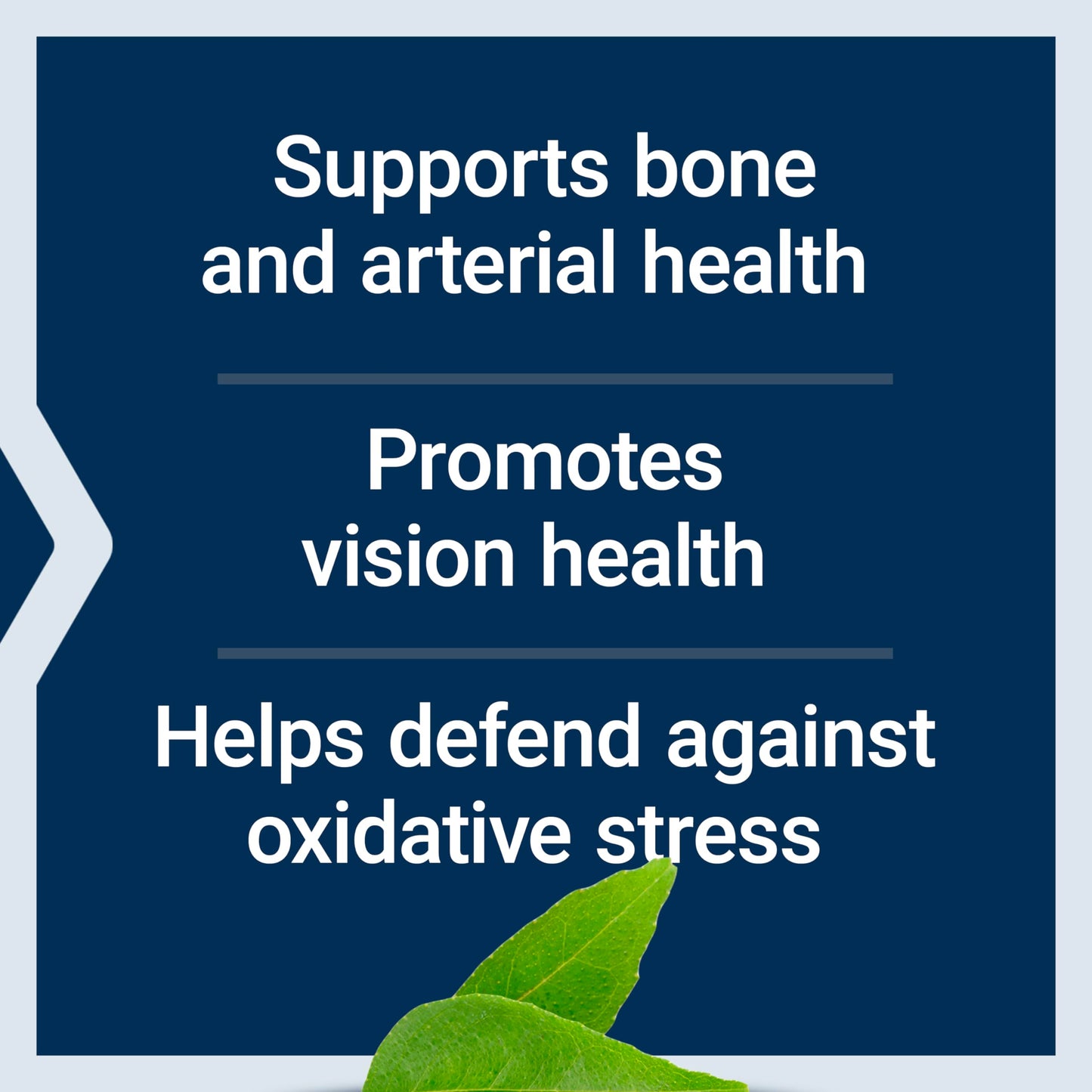 Pre-Order | Arrives in 5–10 Days – Life Extension Once-Daily Health Booster - Vitamins & Nutrients Supplement for Whole-Body Health - Vitamin K Complex, Vitamin E, Saffron, Lutein and More - Non-GMO, Gluten-Free - 60 Softgels