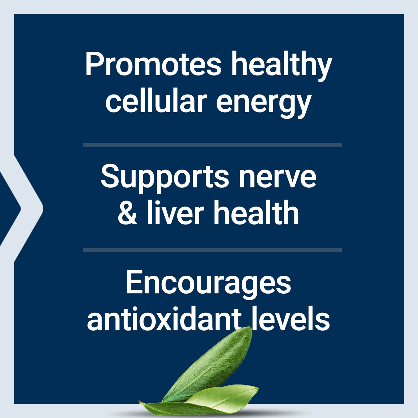 Pre-Order | Arrives in 5–10 Days – Life Extension Alpha-Lipoic Acid with Biotin, for Cell Protection, Universal antioxidant for Liver & Nerve Health, Gluten-Free, Non-GMO, 60 Capsules