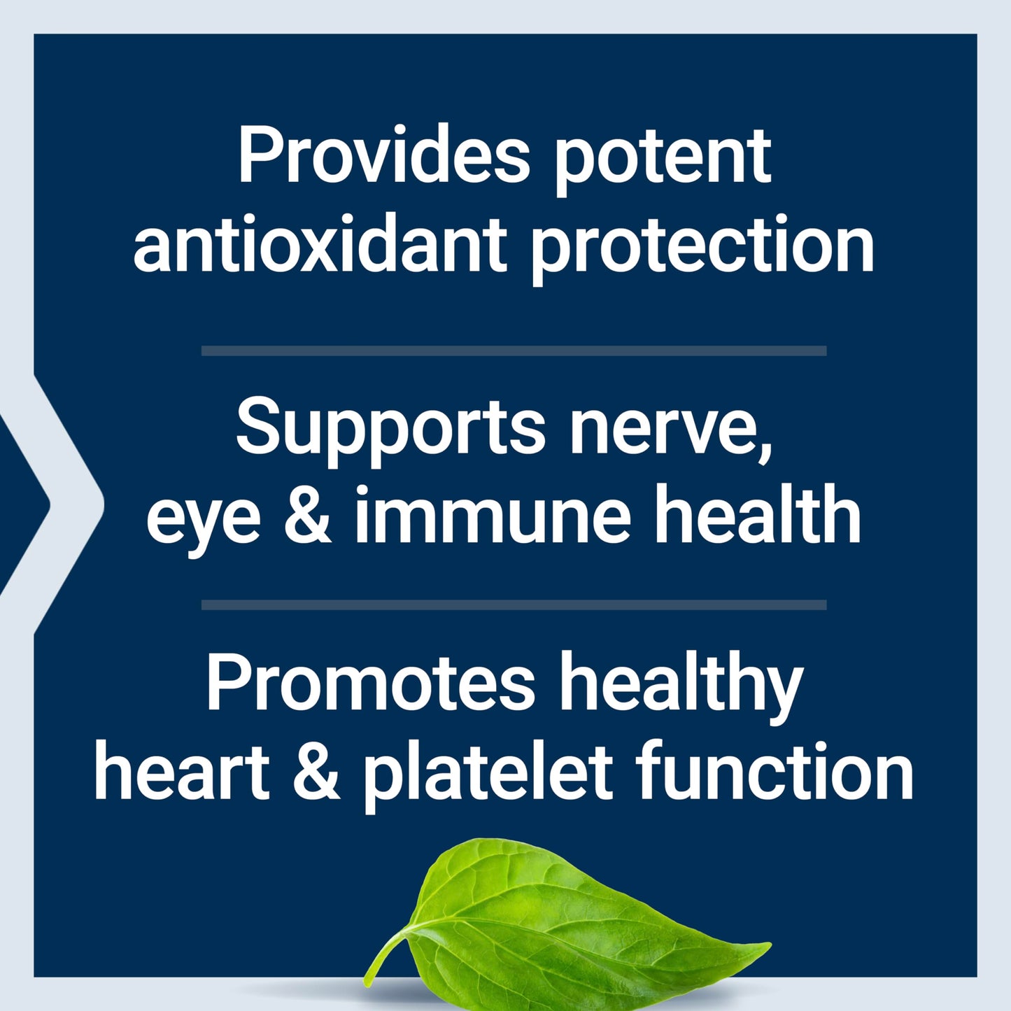 Pre-Order | Arrives in 5–10 Days – Life Extension Gamma E Mixed Tocopherols & Tocotrienols – Complete Vitamin E Spectrum, Antioxidant Protection – Non-GMO, Gluten-Free – 60 Softgels