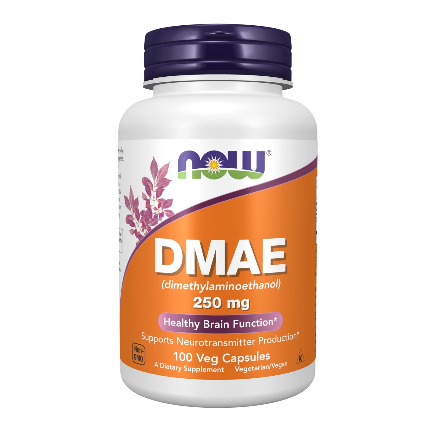 Pre-Order | Arrives in 5–10 Days – NOW Foods Supplements, DMAE (Dimethylaminoethanol) 250 mg, Healthy Brain Function*, 100 Veg Capsules