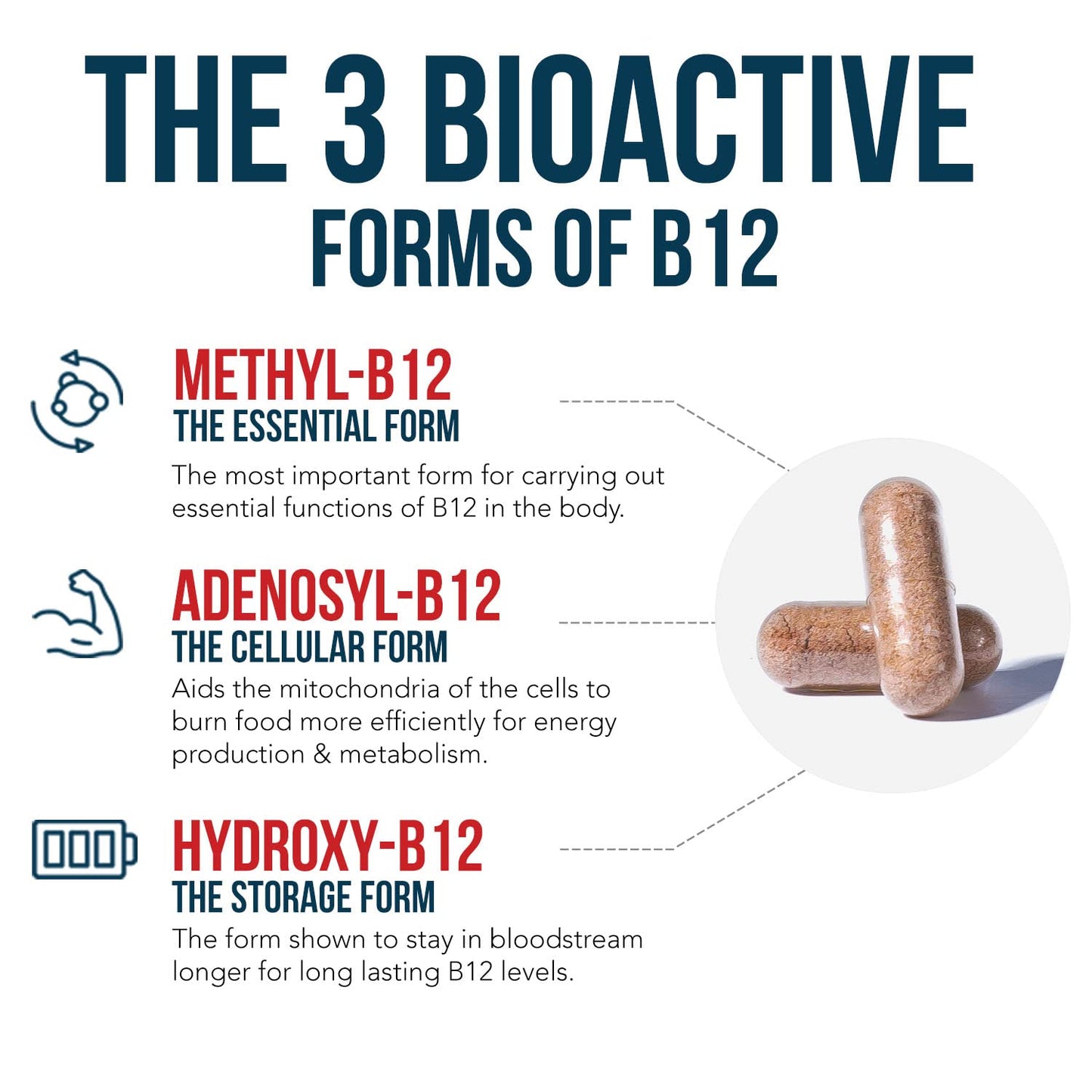 Pre-Order | Arrives in 5–10 Days – 
BioActive Vitamin B12 - 5000 mcg, Contains 3 BioActive Forms B12 Plus Methylfolate Cofactor - Methyl B12, Adenosyl B12 & Hydroxy B12 | Supports Energy, Metabolism & Mood | Vegan, Non-GMO (60 Servings)