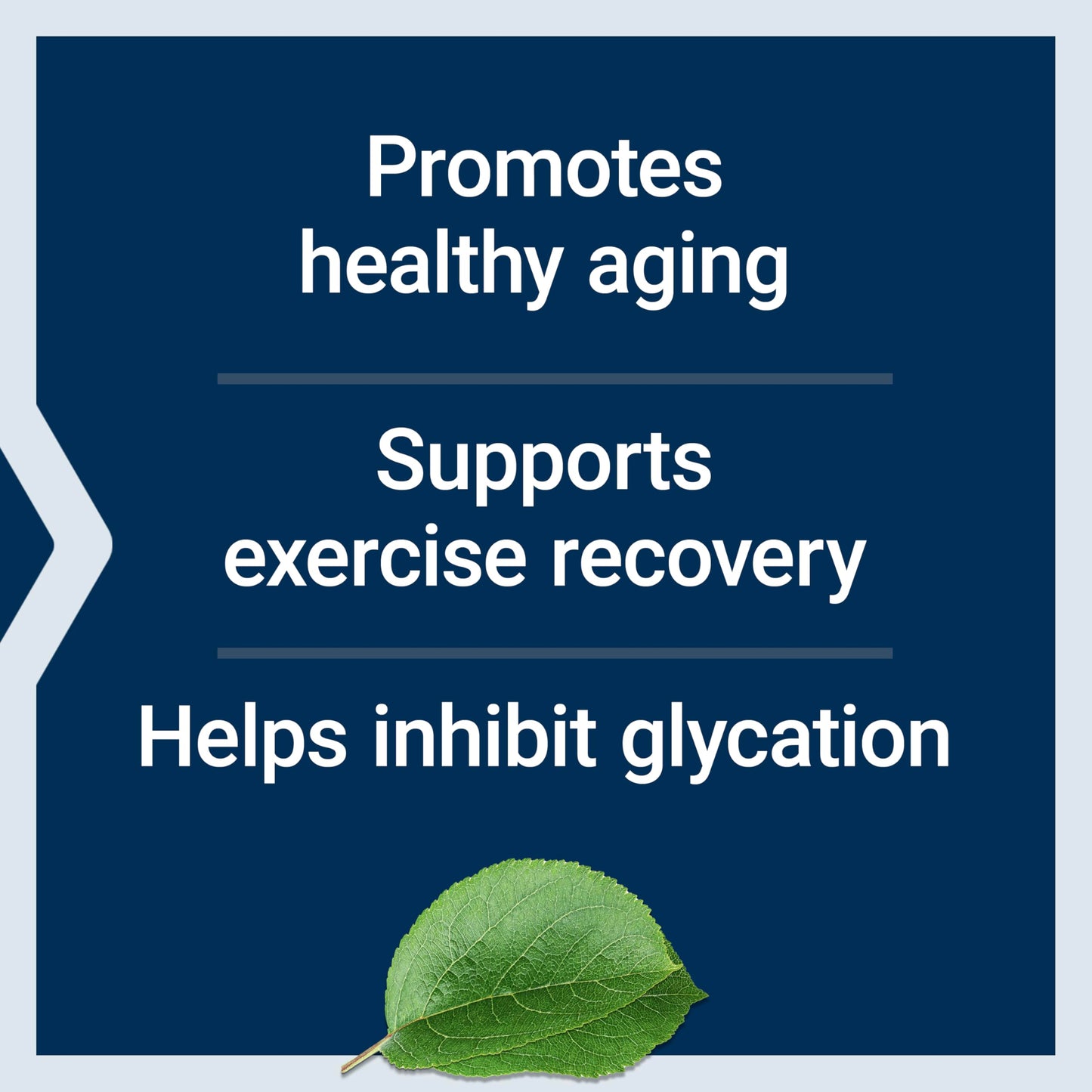 Pre-Order | Arrives in 5–10 Days – Life Extension Carnosine, Healthy Aging, Exercise Recovery, Gluten-Free, Non-GMO, Vegetarian, 60 Capsules