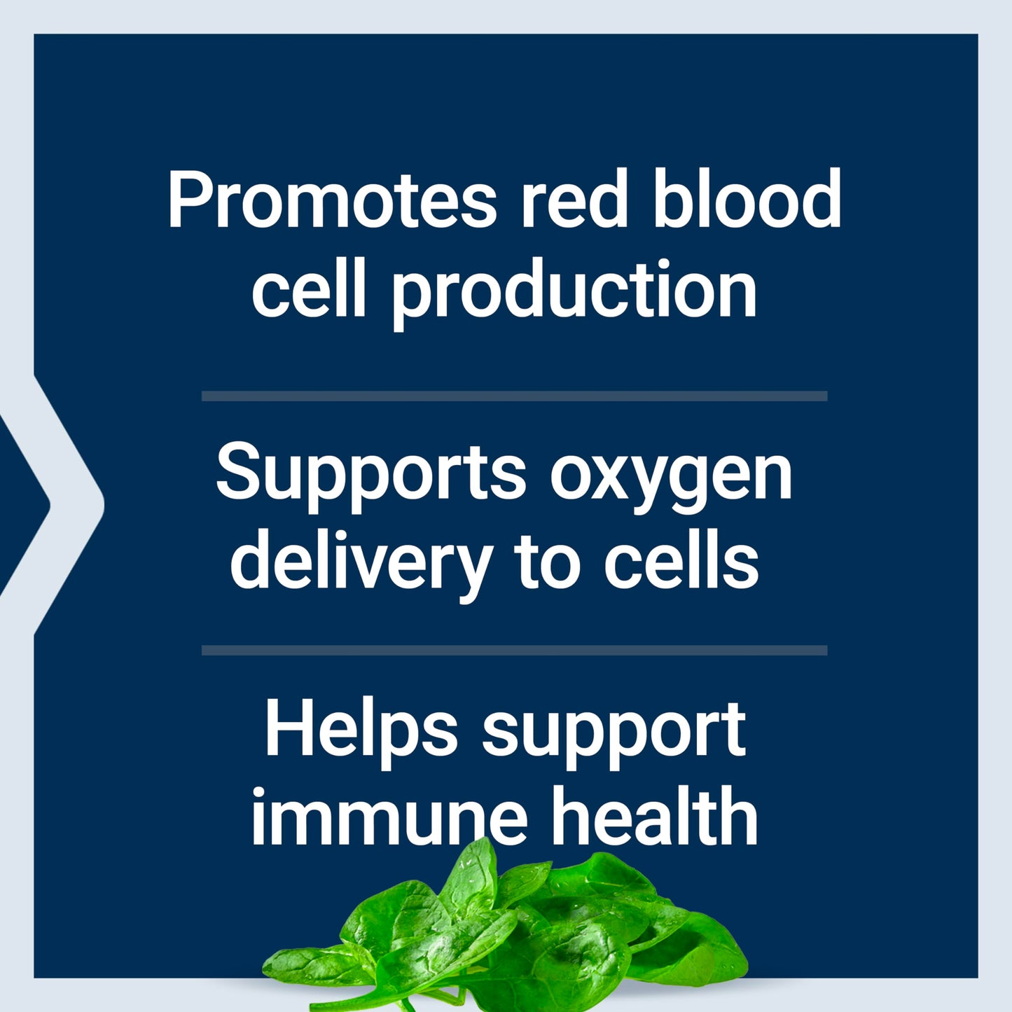 Pre-Order | Arrives in 5–10 Days – Life Extension Iron Protein Plus, Iron Protein succinylate, absorbable Iron Supplement for Whole-Body Health, Non-GMO, Gluten-Free, Vegetarian, 100 Capsules