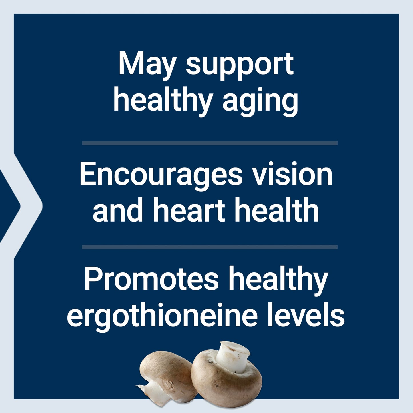 Pre-Order | Arrives in 5–10 Days – Life Extension Essential Youth L-Ergothioneine – Promotes Longevity & Healthy Aging – Gluten-Free – Non-GMO – Vegetarian – 5 mg – 30 Vegetarian Capsules