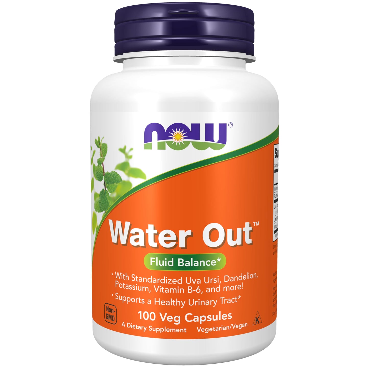 Pre-Order | Arrives in 5–10 Days – NOW Foods Supplements, Water Out With Standardized Uva Ursi, Dandelion, Potassium and Vitamin B-6, 100 Veg Capsules