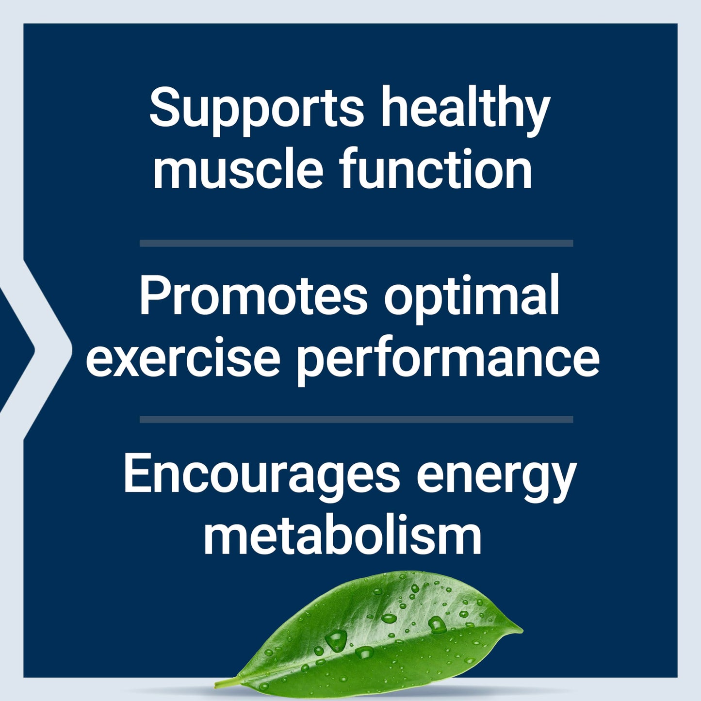 Pre-Order | Arrives in 5–10 Days – Life Extension Creatine Capsules – Creatine Monohydrate – Promotes Strength, Lean Muscle, Healthy Endurance – Non-GMO, Gluten-Free – 120 Capsules