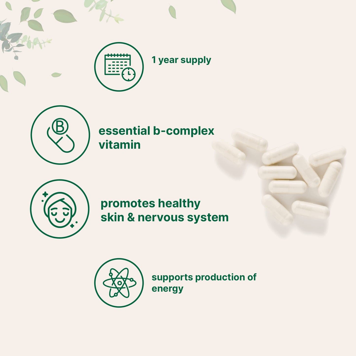 Pre-Order | Arrives in 5–10 Days – Micro Ingredients Pantothenic Acid Vitamin B5 Supplement, Vitamin B5 500mg Per Count, 365 Capsules (1 Year Supply), B-Complex Vitamin, Support Energy Production and Nervous System, Non-GMO
