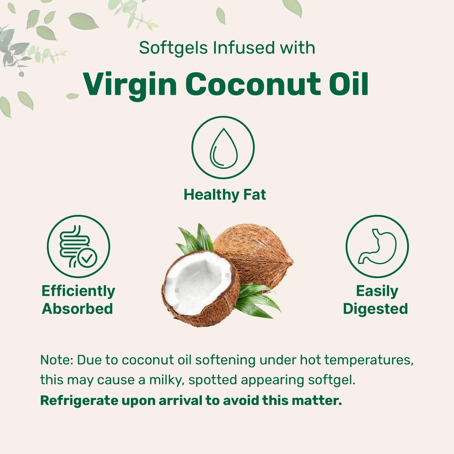 Pre-Order | Arrives in 5–10 Days – Micro Ingredients Biotin 10,000mcg w/Hyaluronic Acid 25mg | 365 Virgin Coconut Oil Softgels, Fast Release, One Year Supply, Supports Healthy Hair, Skin & Nails, Non-GMO & No Gluten