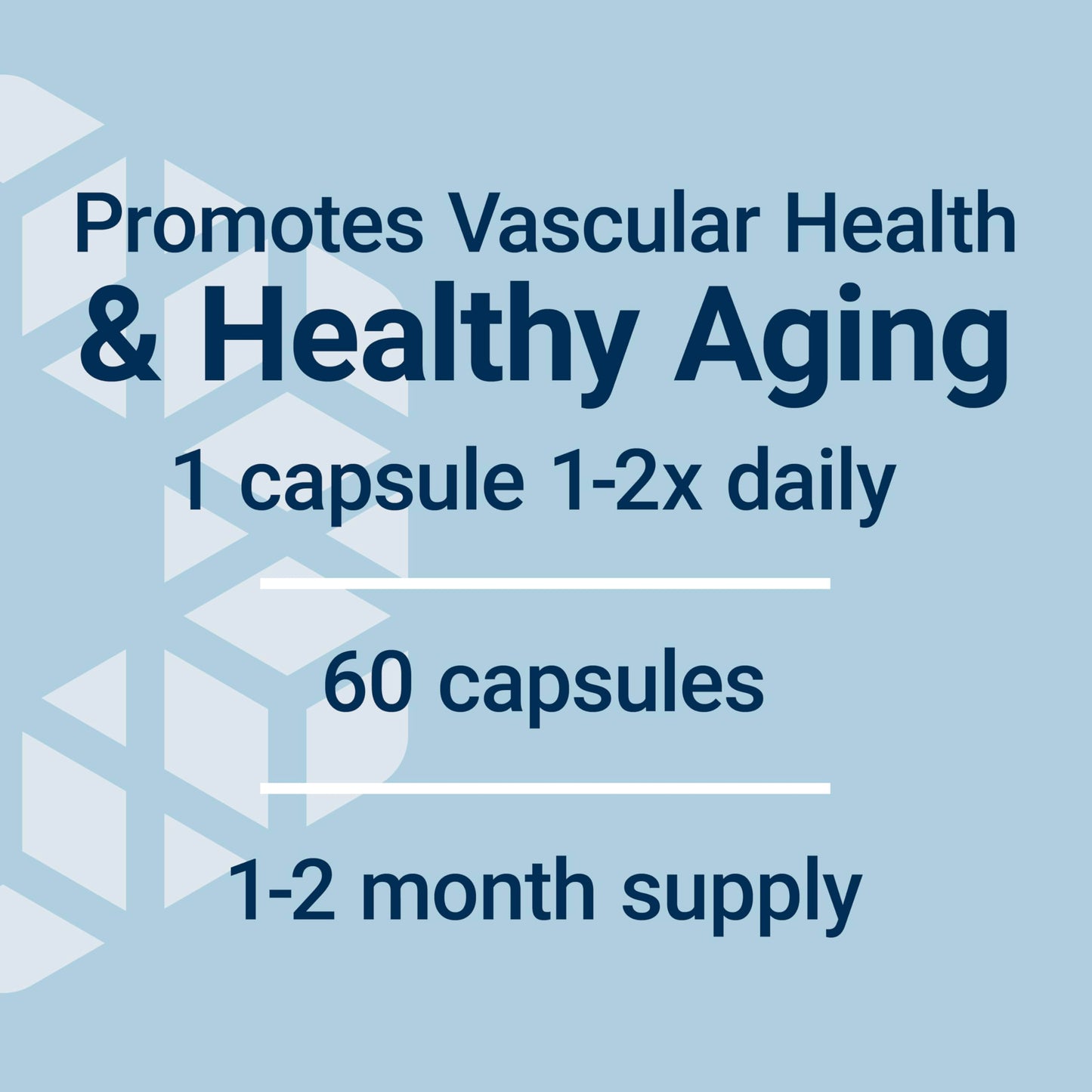 Pre-Order | Arrives in 5–10 Days – Life Extension Pycnogenol – French Maritime Pine Bark Extract – Scientifically Studied healthy aging & Vascular Health Supplement – Non-GMO, Gluten-Free, Vegetarian – 60 Capsules