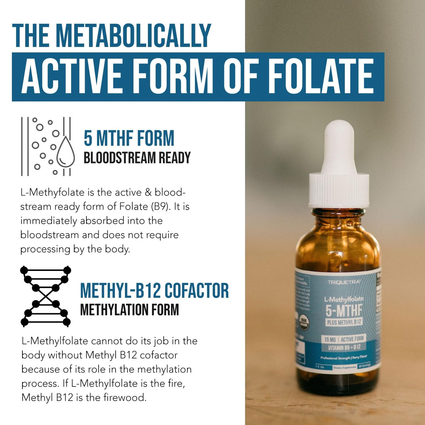 Pre-Order | Arrives in 5–10 Days – 
L Methyl Folate 15mg Plus Methyl B12 Cofactor – Organic Berry Flavor, High Potency Liquid Sublingual Active 5-MTHF Form - Supports Mood, Methylation, Cognition – Bioactive Forms Vitamin B9 & B12 (1oz)