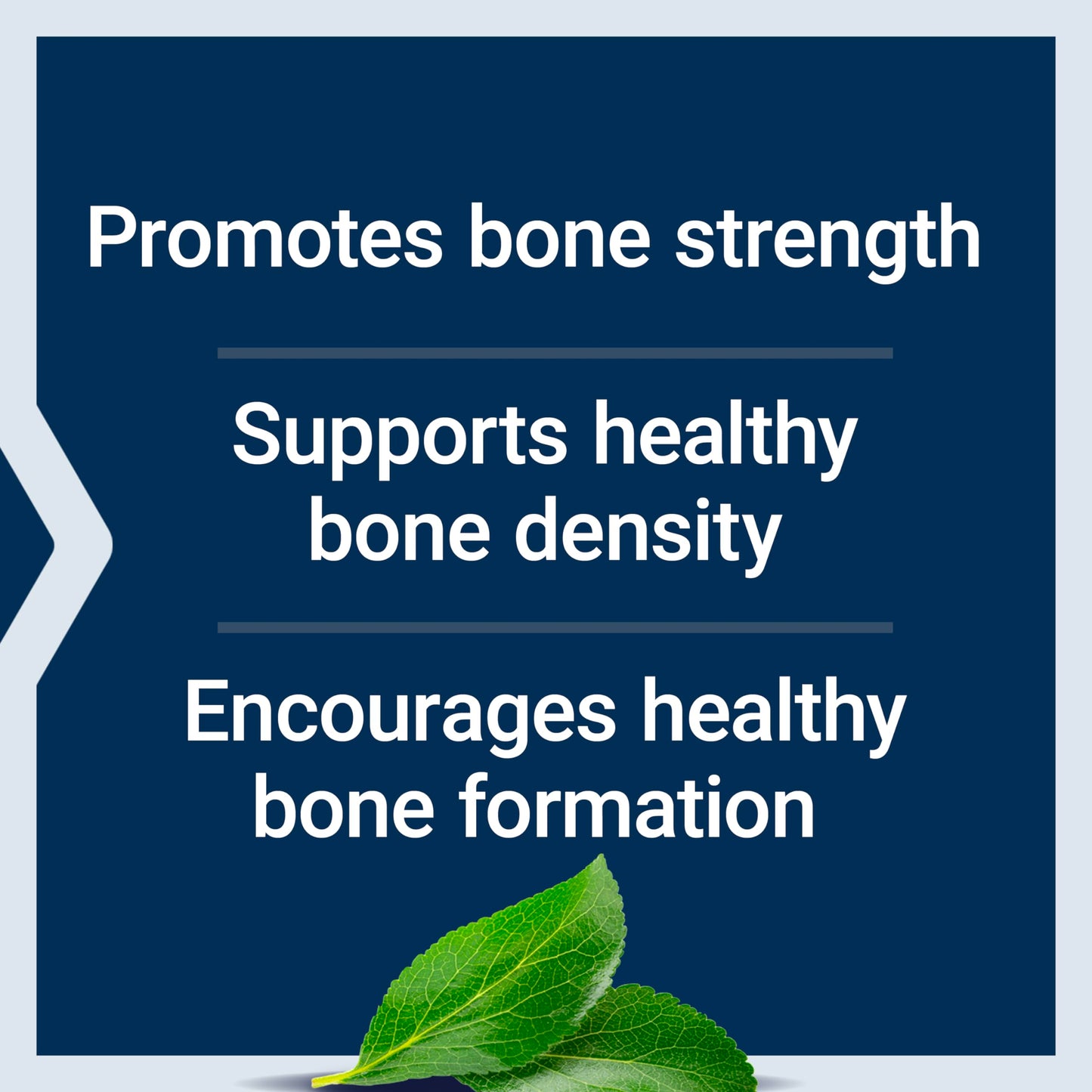 Pre-Order | Arrives in 5–10 Days – Life Extension Bone Restore + Vitamin K2 Vitamins & Minerals Maintain Bone Health & Strength - Fortifying Nutrients Calcium, D3 & Important Bone Building Minerals - Non-GMO, Gluten-Free -120 Capsules