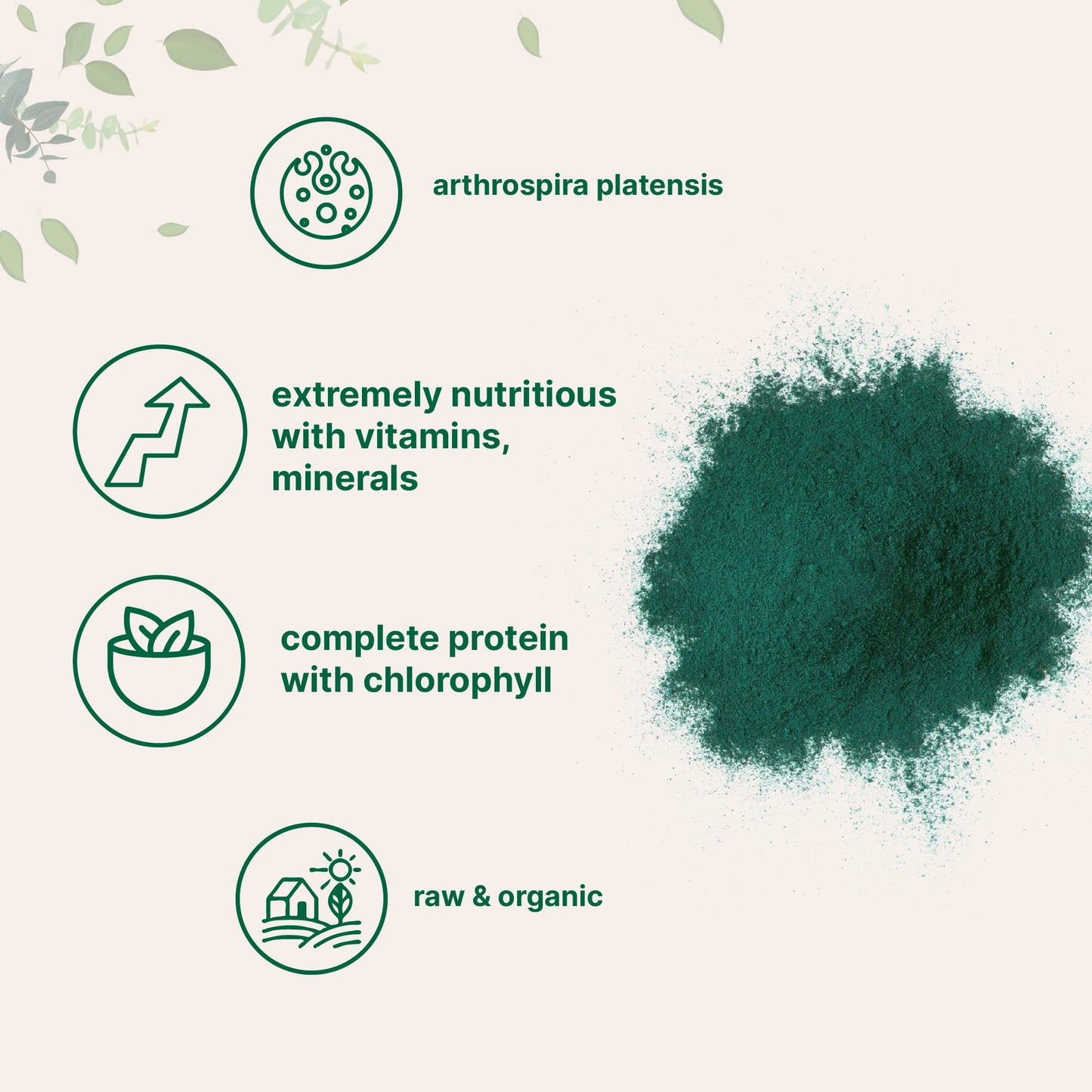 Pre-Order | Arrives in 5–10 Days – Micro Ingredients Organic Spirulina Powder, 16 Ounce, Raw Spirulina (Arthrospira Platensis), The Richest Sources of 70% Vegan Protein, Containers Minerals, Vitamins, Non-GMO & Non-Irradiation