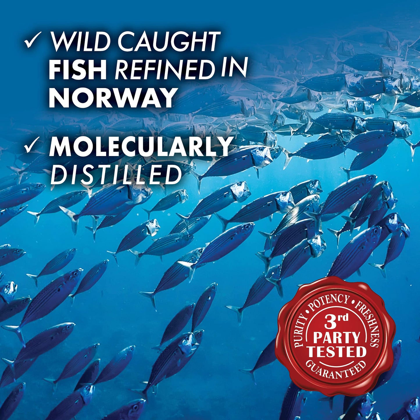 Pre-Order | Arrives in 5–10 Days – 
BlueBonnet Nutrition Omega-3 Brain Formula Natural Wild Caught Triglyceride Form DHA 1000 mg EPA 210 mg, Gluten-Free Softgel, Yellow/Clear, Lemon, 120 Count