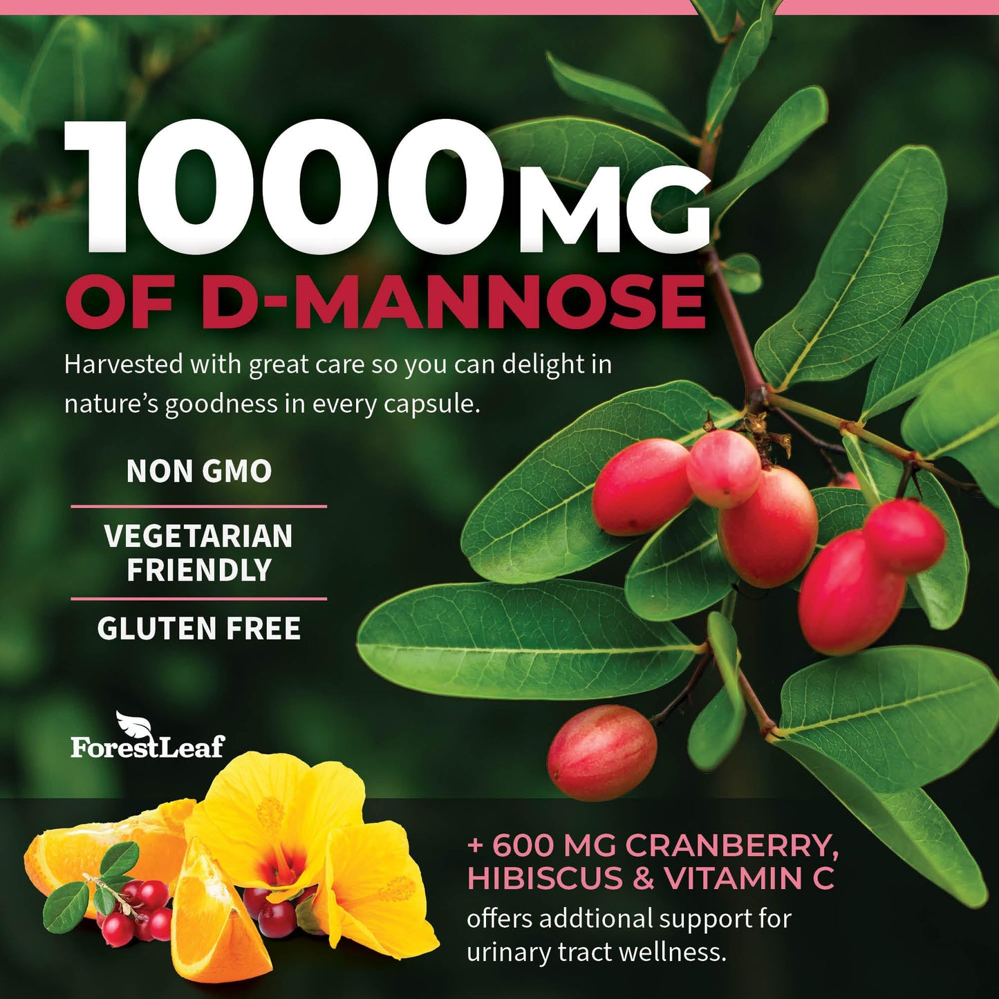 Pre-Order | Arrives in 5–10 Days – ForestLeaf D Mannose 1000mg Capsules - D-Mannose with Cranberry, Hibiscus & VIT C, Urinary Tract Health for Women and Men, DMannose Pills for UTI, Urinary Health & Bladder Support 120 Capsules