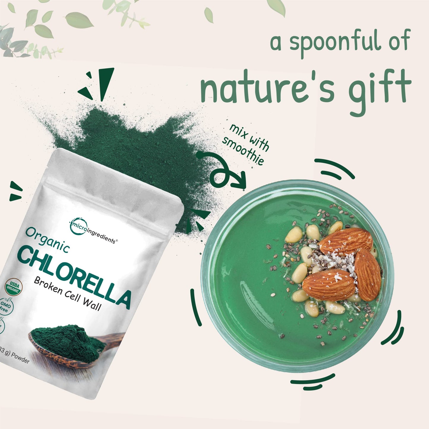 Pre-Order | Arrives in 5–10 Days – Micro Ingredients Organic Chlorella Powder, 10 Ounce, Broken Cell Wall, Rich in Vegan Proteins & Vitamins, Raw, Bulk Premium Chlorella Supplement, Vegan Friendly, Non-Irradiation