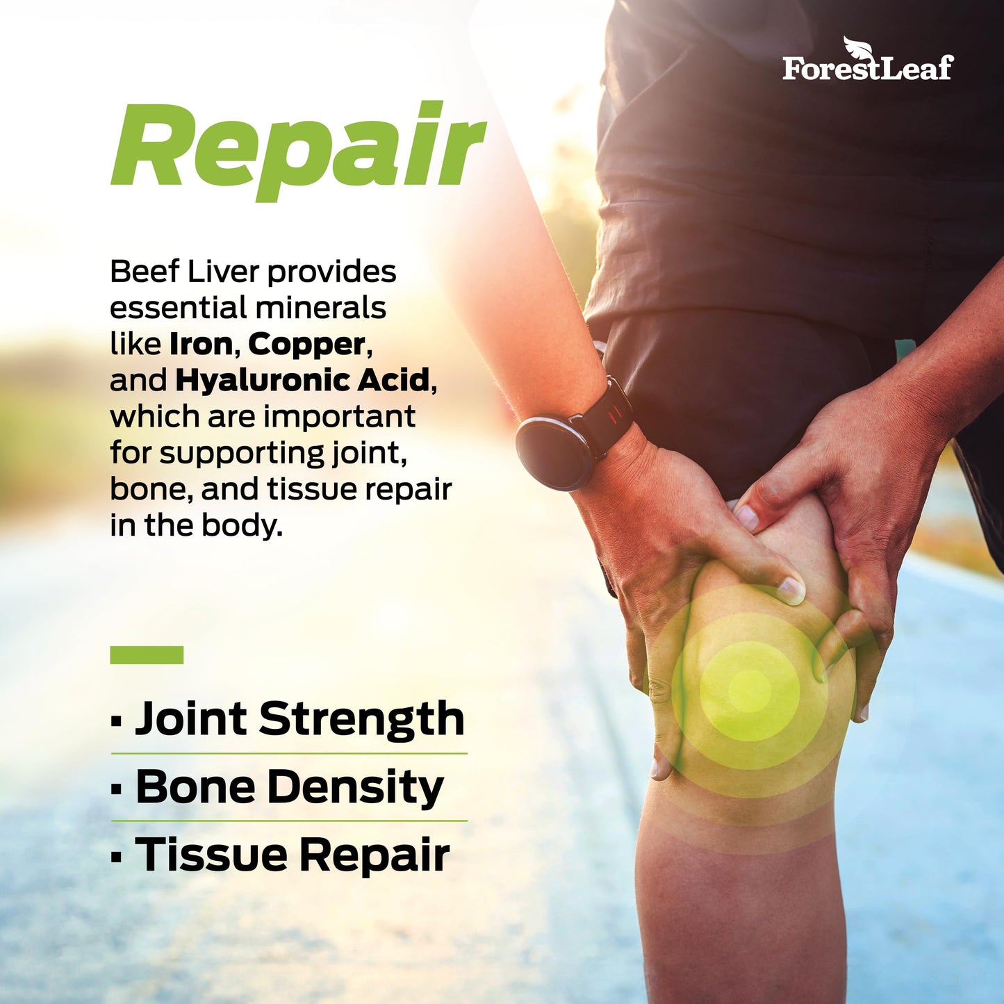 Pre-Order | Arrives in 5–10 Days – ForestLeaf Grass Fed Beef Liver Capsules, 3000mg Per Serving, Supports Full Immunity & Body Wellnes, Cleansing, Digestion, Natural Iron, Vitamin A and B12, Freeze Dried Beef Liver Supplement, 180 Caps