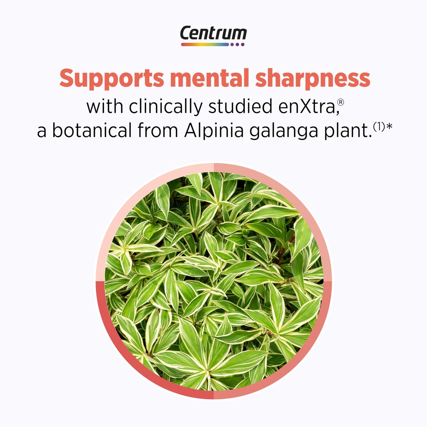 Pre-Order | Arrives in 5–10 Days – Centrum Clear Mind and Calm Mood Menopause Support Tablets, with Clinically Studied enXtra, 30 Count